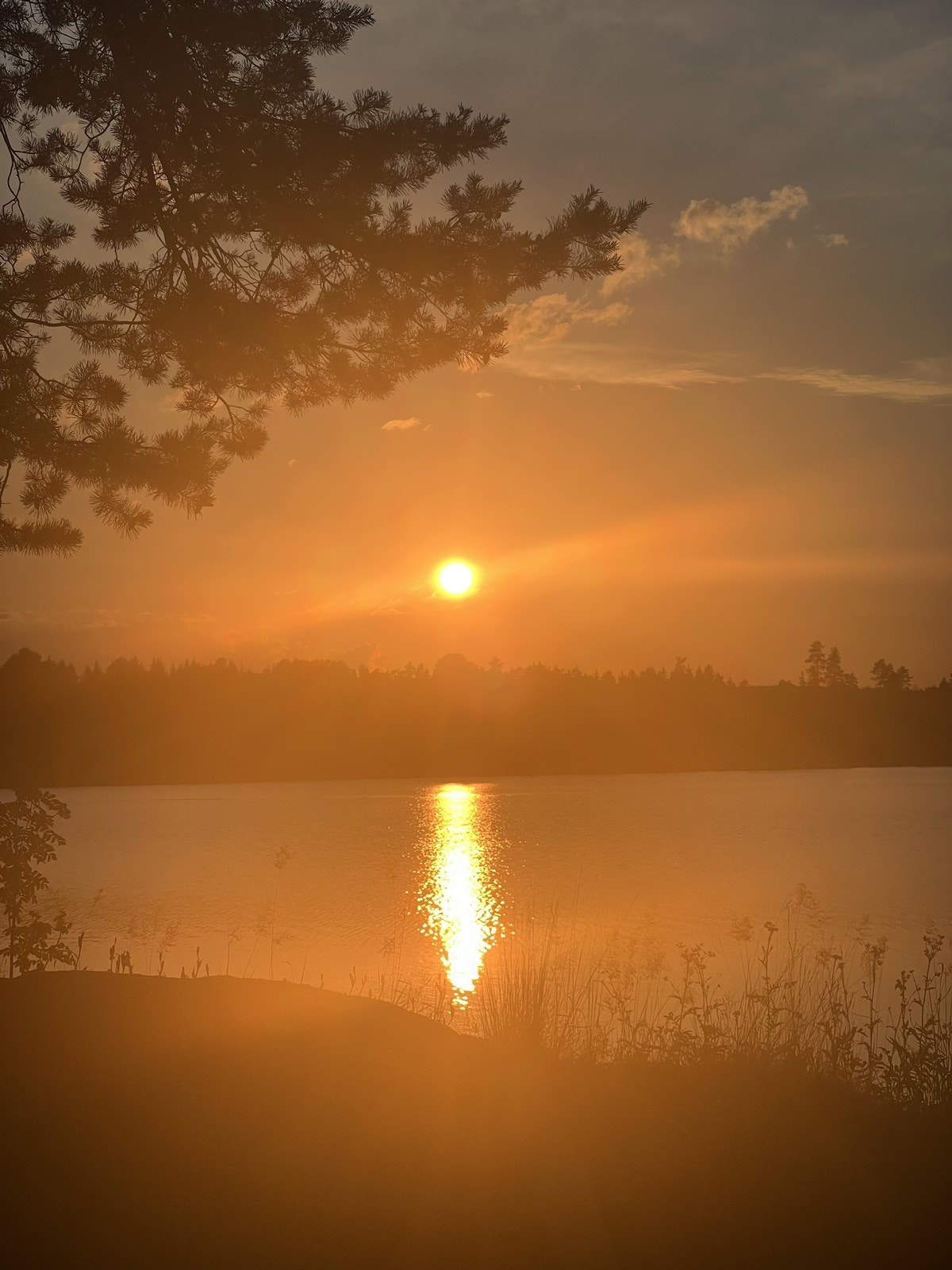 Lun kveldsstemning ved Lundebyvannet - selgers eget bilde. Galleribilde