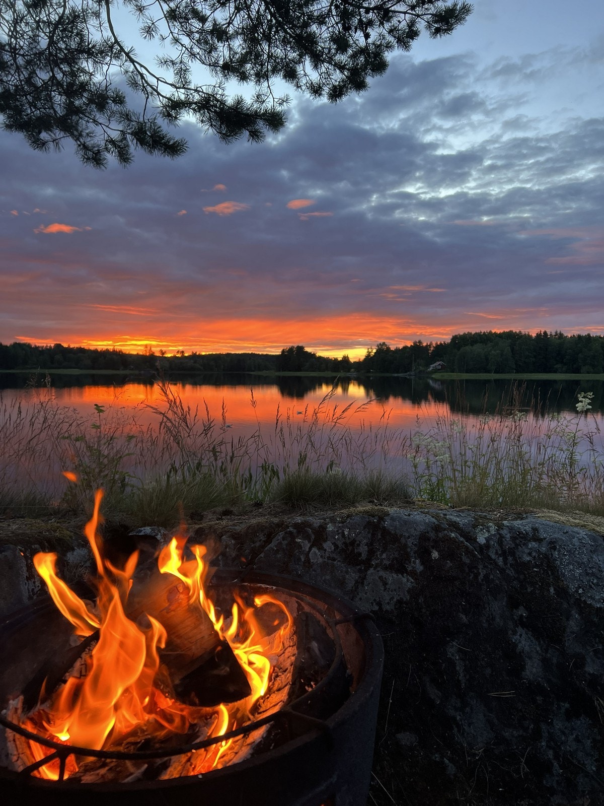 Lun kveldsstemning ved Lundebyvannet - selgers eget bilde. Galleribilde