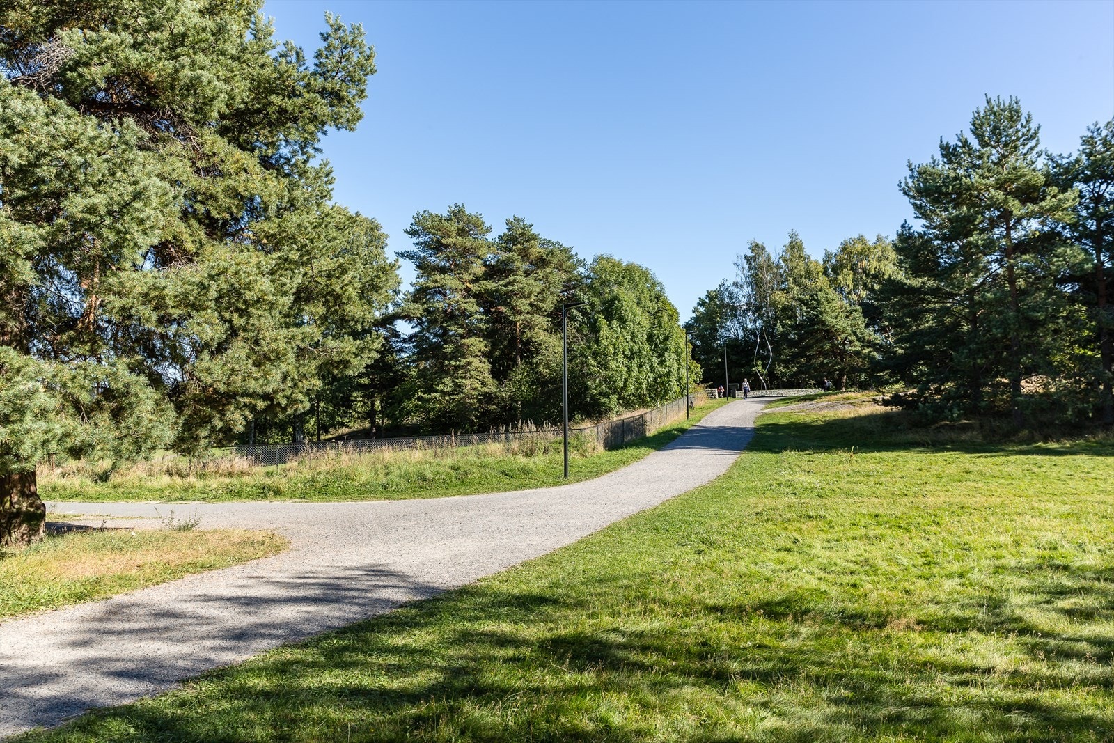 Flotte turmuligheter i nærområdet Galleribilde