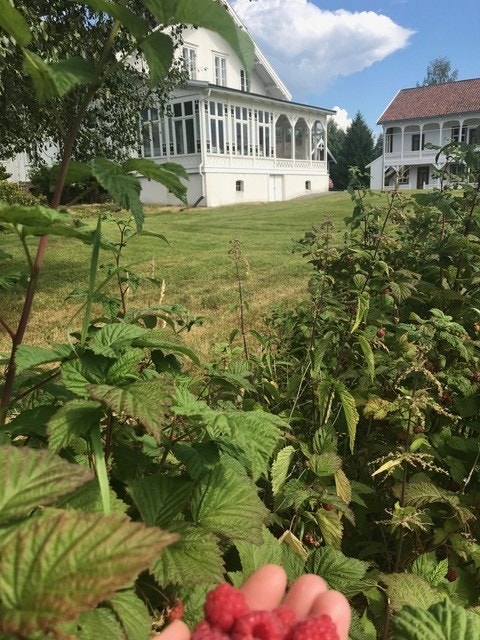 Uteområdet rundt boligene er velholdt og grønt. Galleribilde