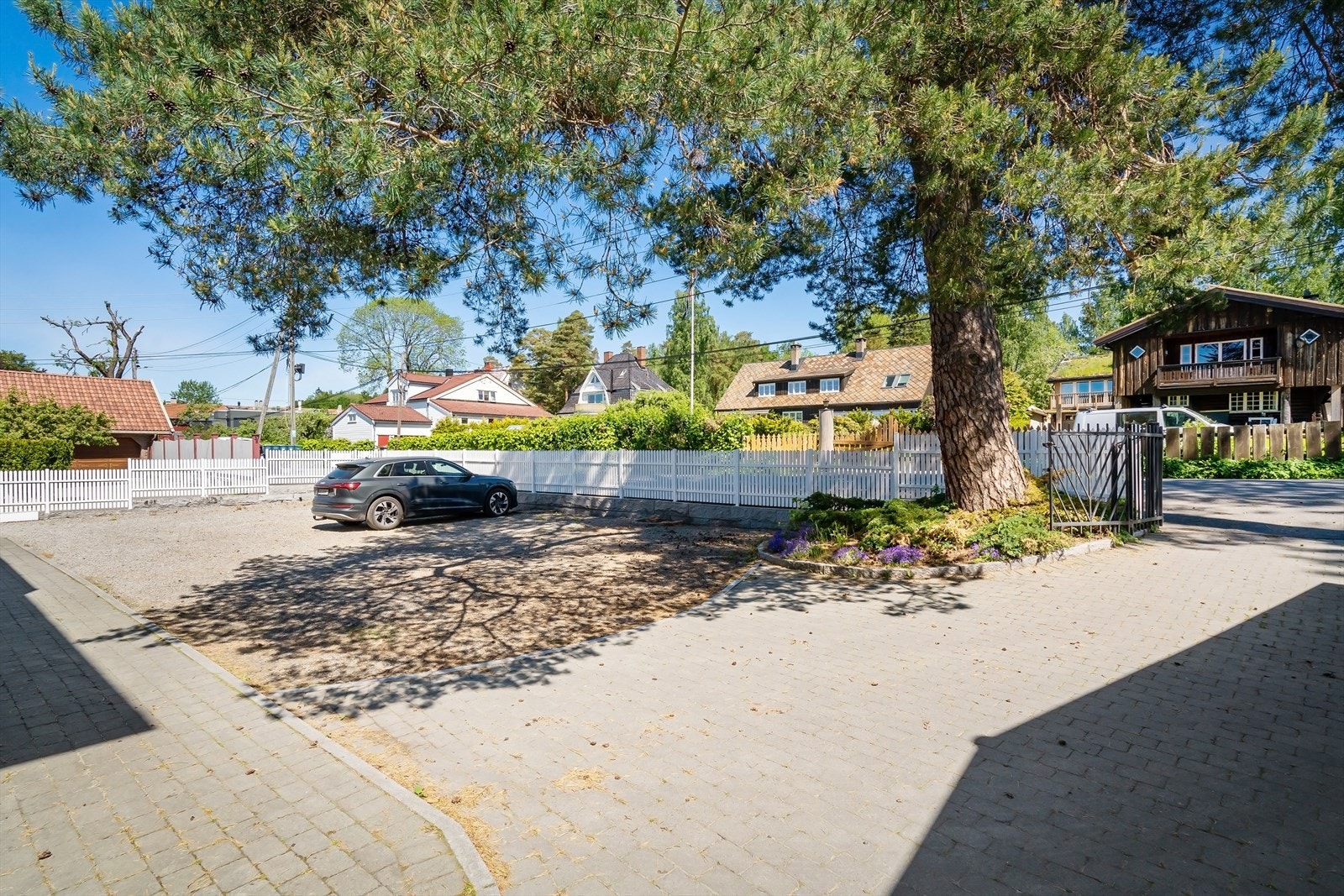 Stor og felles gårdsplass med et vakkert og fredet furutre Galleribilde