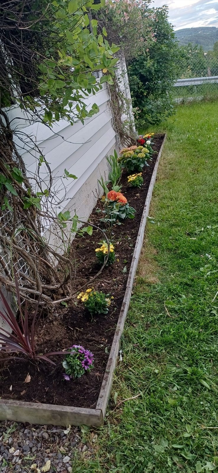 Blomsterbed langs husveggen. Galleribilde