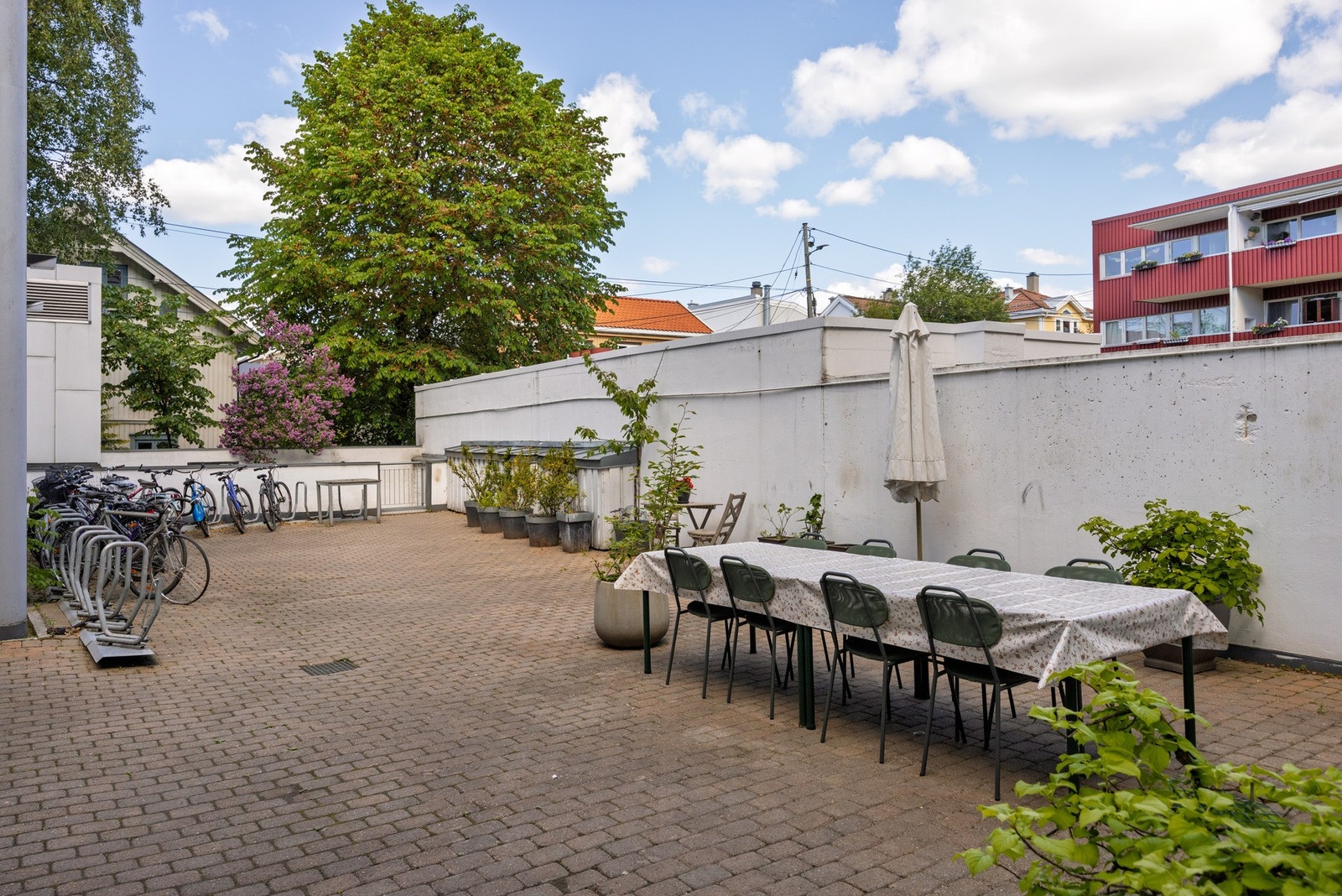 Felles bakgård med sykkelstativer. Galleribilde