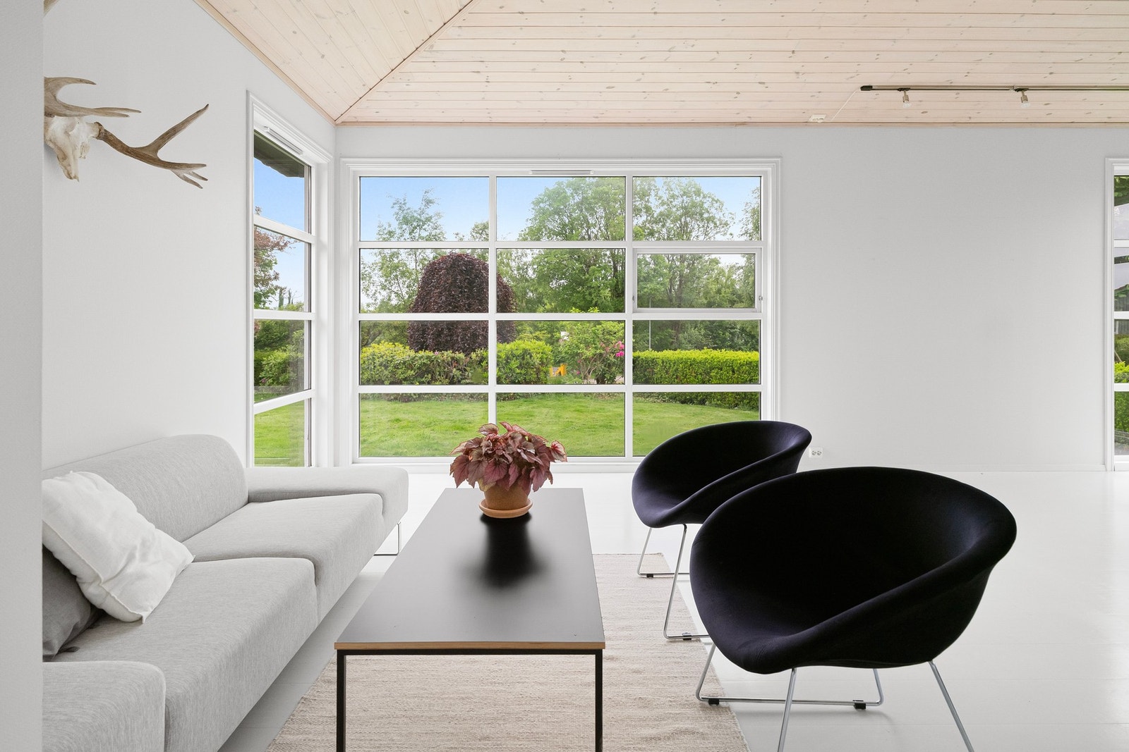 Store vindusflater med gode lysforhold, Galleribilde