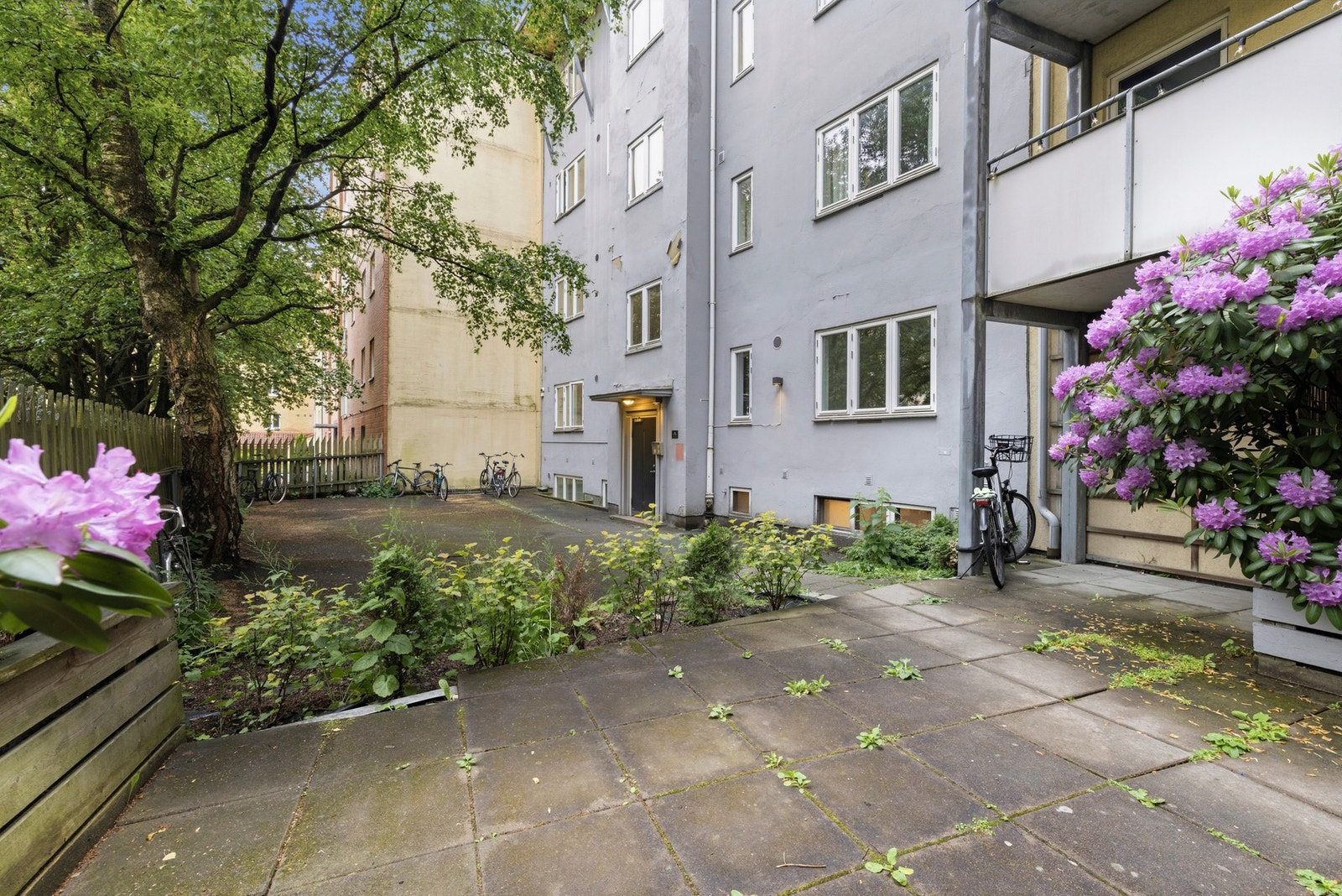 Bakgård. Galleribilde