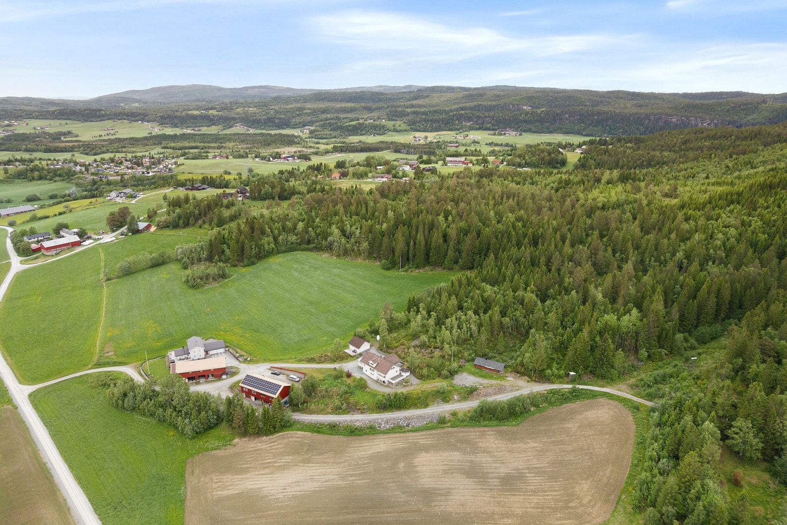 Velkommen til en trivelig visning! Galleribilde