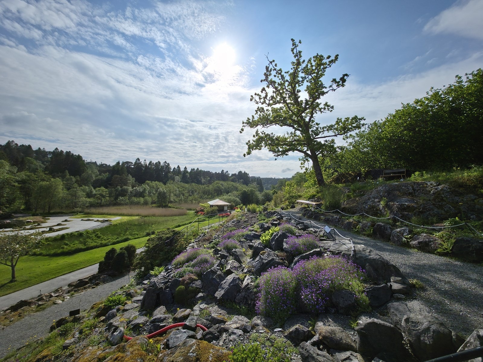 En kort spasertur tar deg til Japanhagen i Botanisk hage - en norsk-japansk vennskapshage med te-paviljong, mosehage og japanske planter. Parken har også egen kafé, som holder åpent på fine dager i høysesongen. Galleribilde