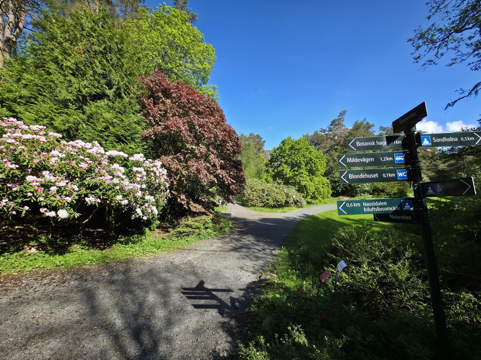 Bare fem minutter fra boligen åpner Arboretet seg med et unikt nettverk av stier, grusveier og naturopplevelser. Her kan du legge ut på alt fra rolige søndagsturer til løpetrening og lengre turer i vakre omgivelser. Galleribilde