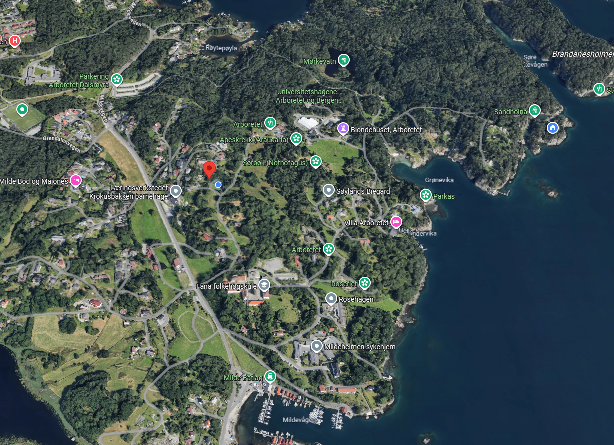 Huset er avmerket med rød pil. Dette viser hvordan boligen ligger i forhold til dette unike boområdet. Galleribilde
