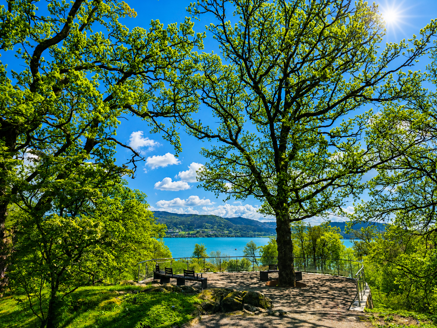 Nærområdet med Arboretet i fokus gir deg en av vestlandets vakreste parker som "hage". Galleribilde