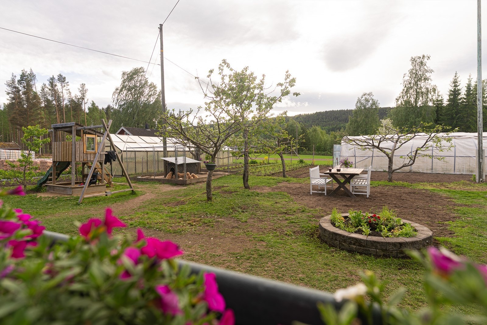 Tomt og hage med mye boltreplass. Galleribilde