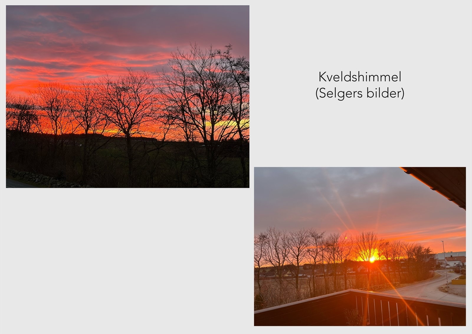 Kveldshimmel (Selgers bilder) Galleribilde