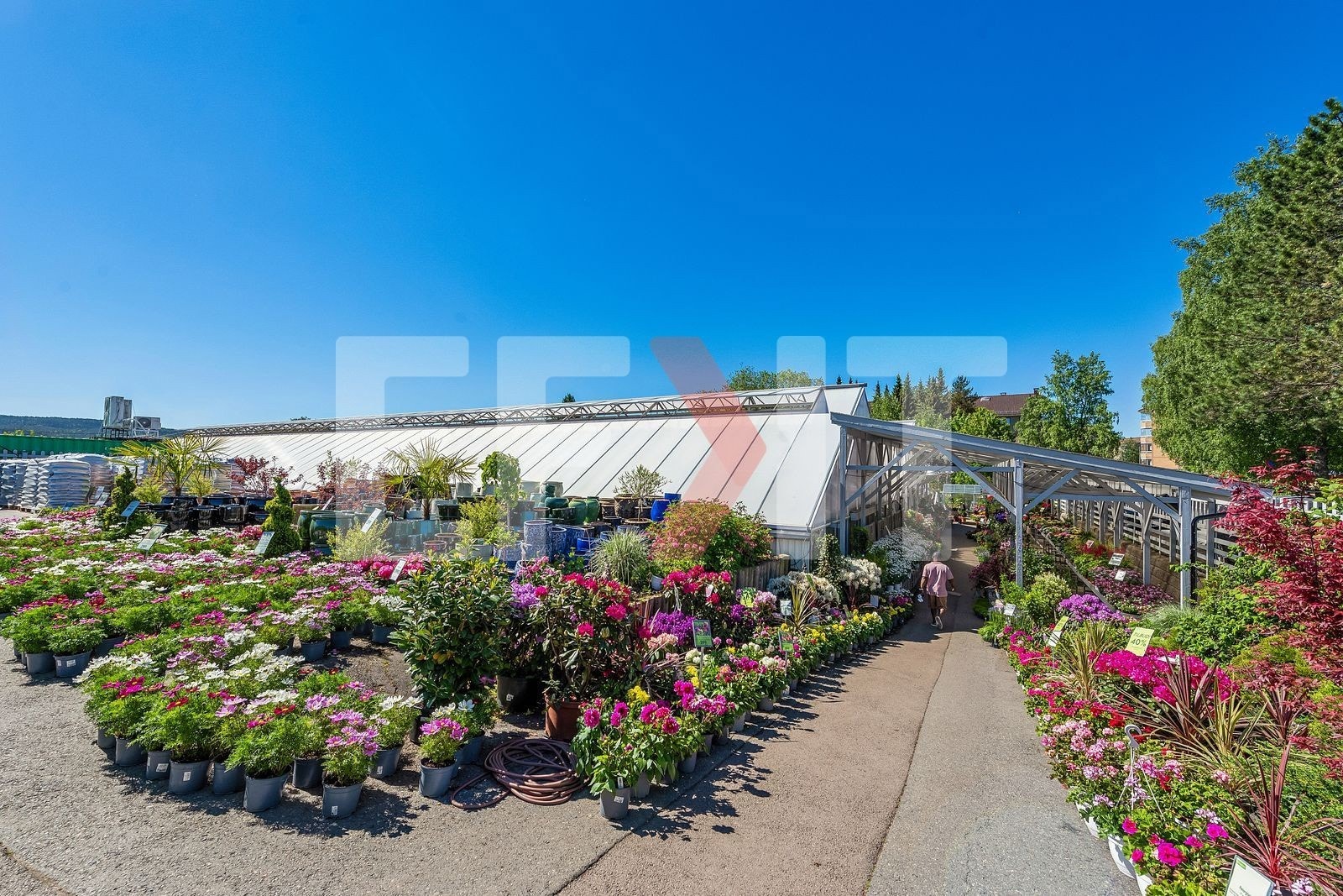 Hos Nordtvet gartneri finner du flotte ute- og inneblomster. Galleribilde