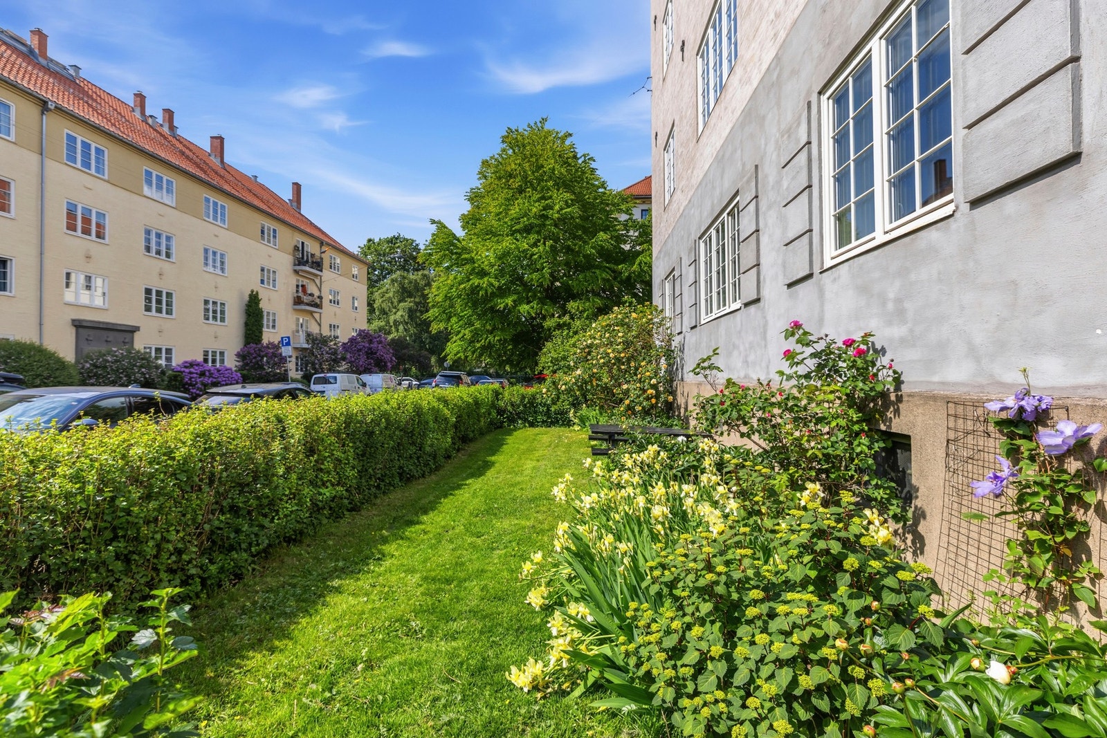 Sameiets tomt er opparbeidet med felles plen og diverse beplantning. Galleribilde