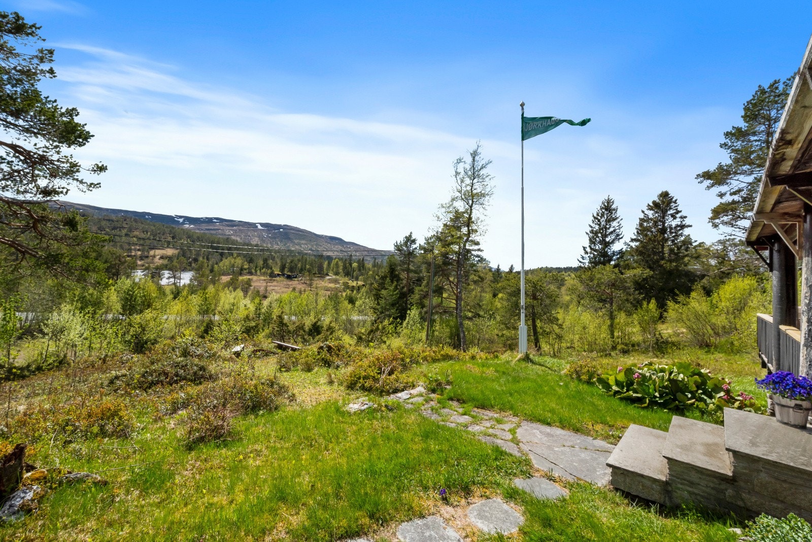 Velkommen på hyggelig visning! Galleribilde