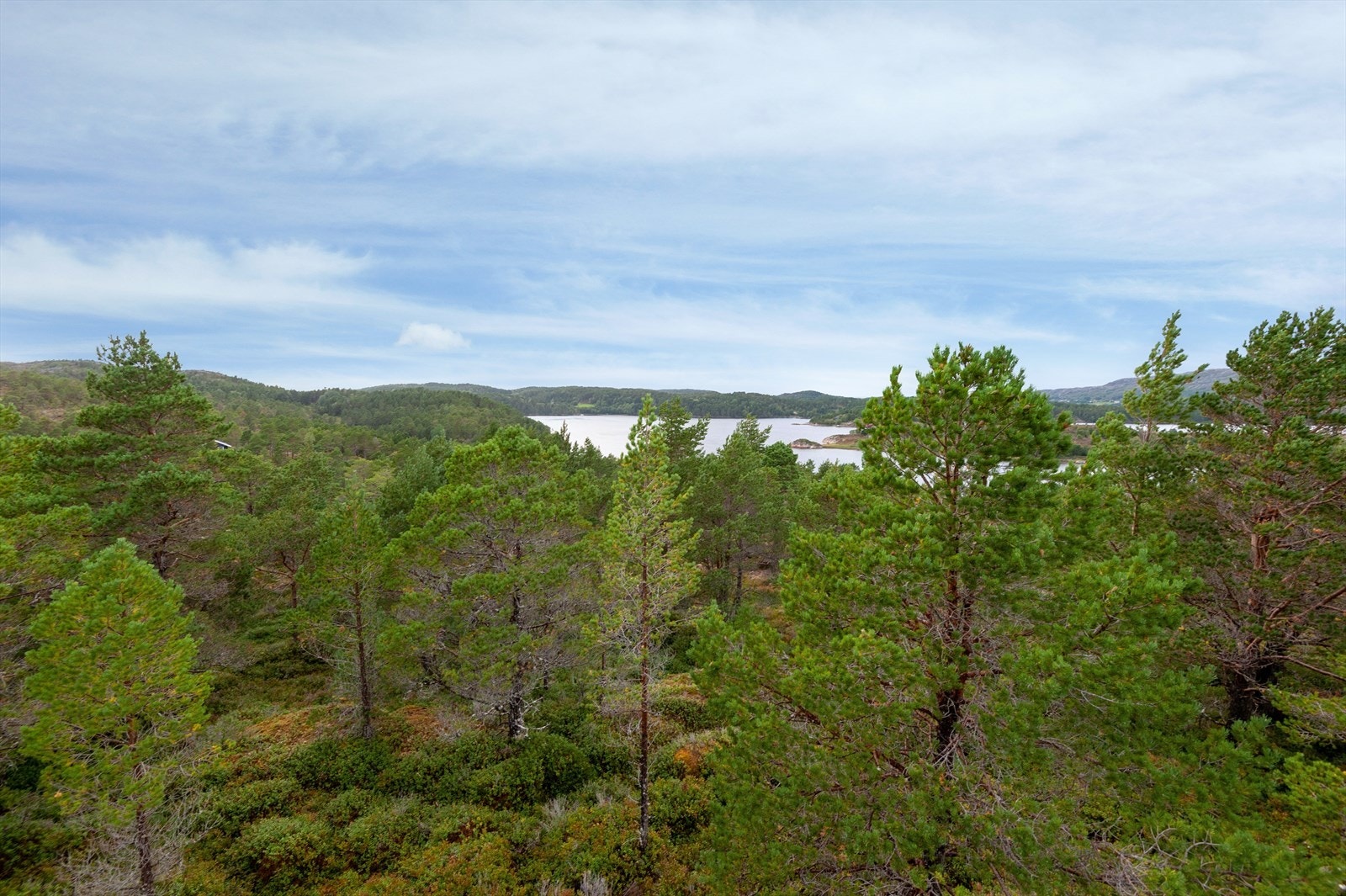Tomta ligger på Hamarvik på sørsiden av Strømfjorden på Hitra, rett sør for østspissen av Helgebostadøya. Galleribilde