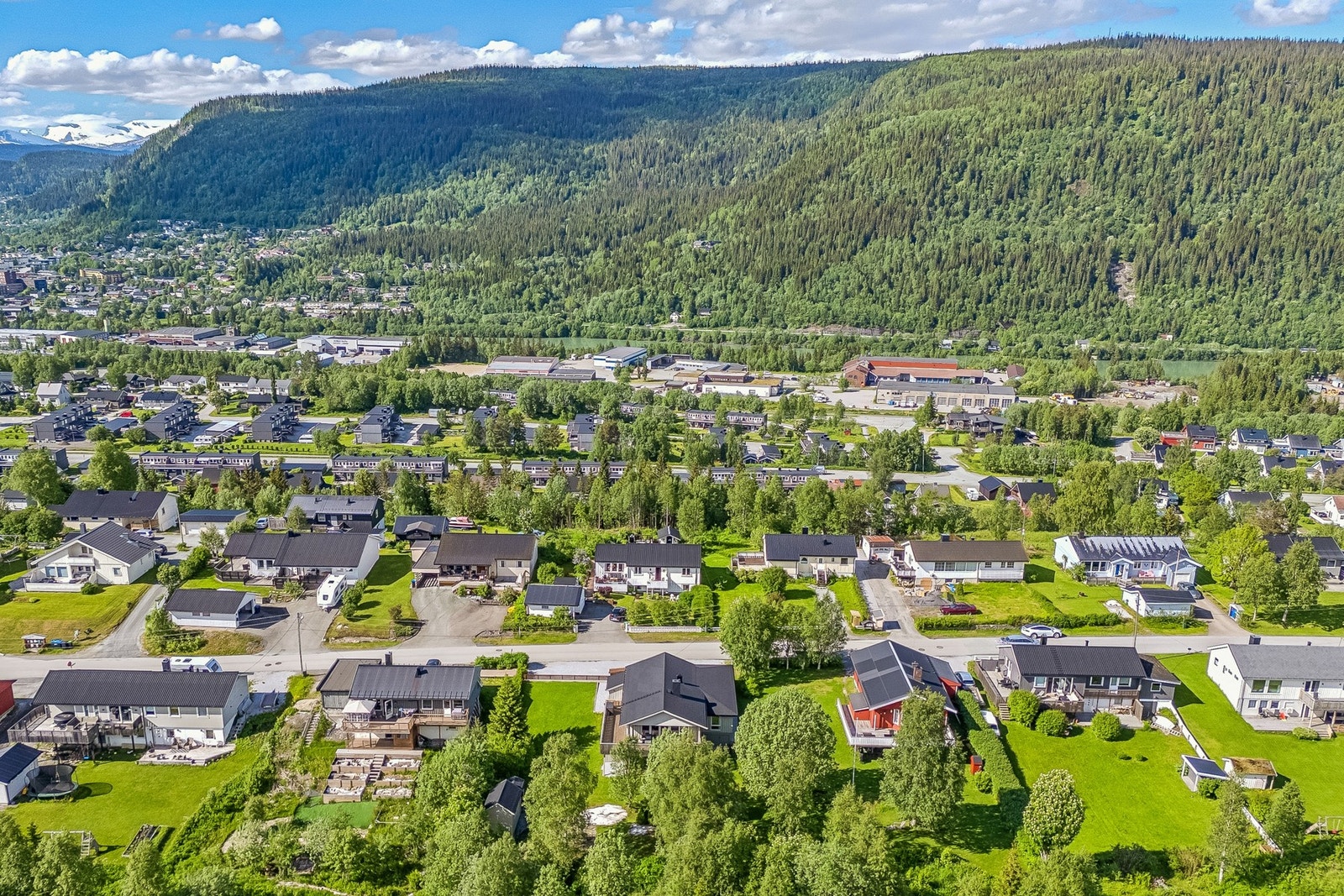 Vi ønsker velkommen til en hyggelig visning! Galleribilde