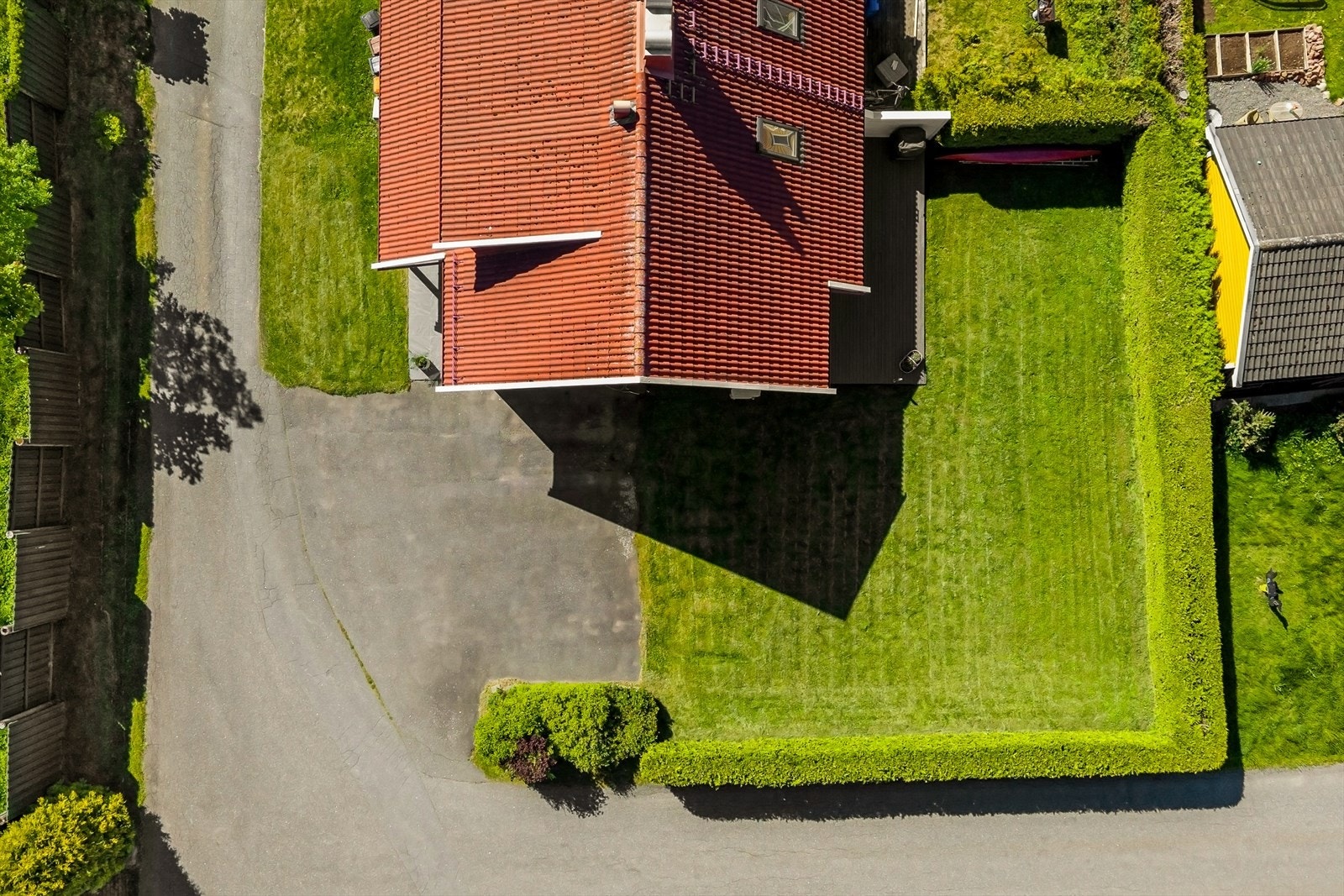 Fugleperspektiv. Galleribilde