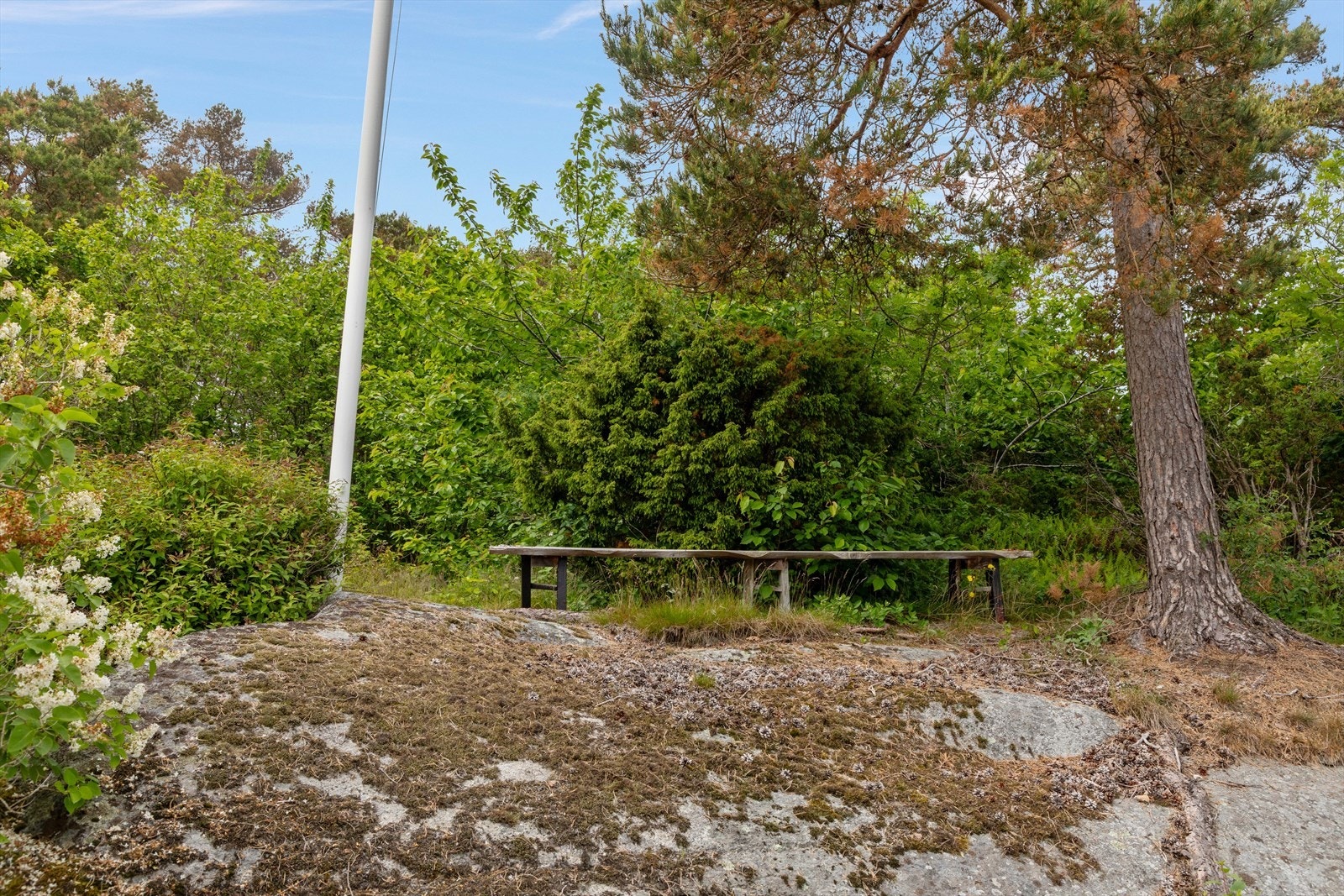 Naturlige svaberg og beplantning preger deler av tomten. Galleribilde