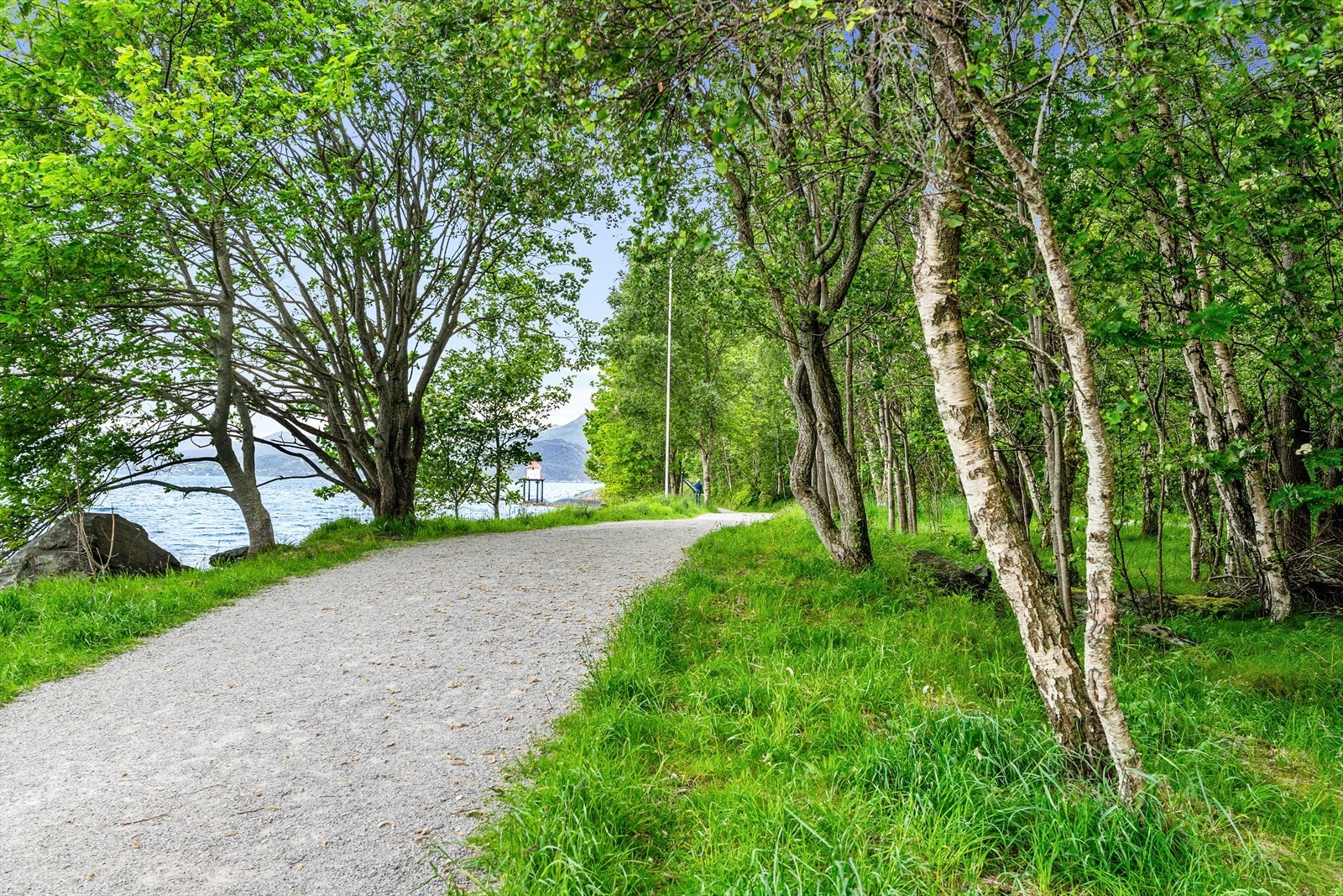 - Her bor man i et urbant og levende miljø med kort vei til sjøen, flotte turområder og et bredt utvalg av servicetilbud - Galleribilde