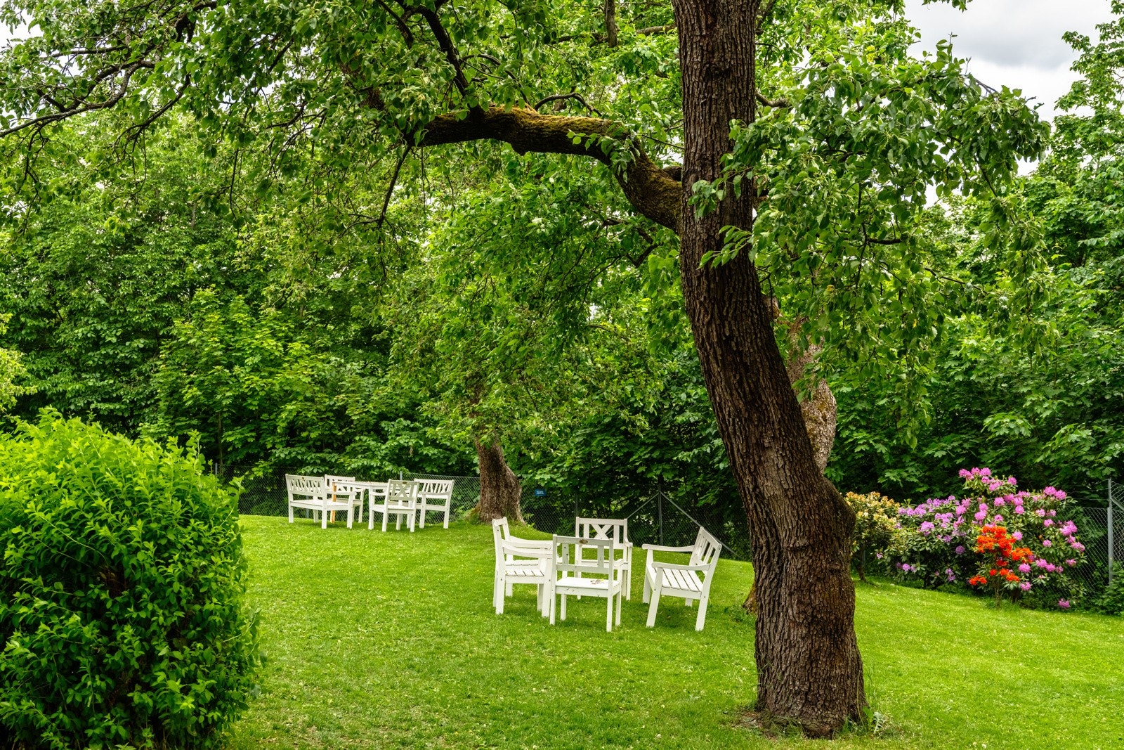Anerkjent bakgårdshage med flere sittegrupper på sommerstid. Galleribilde
