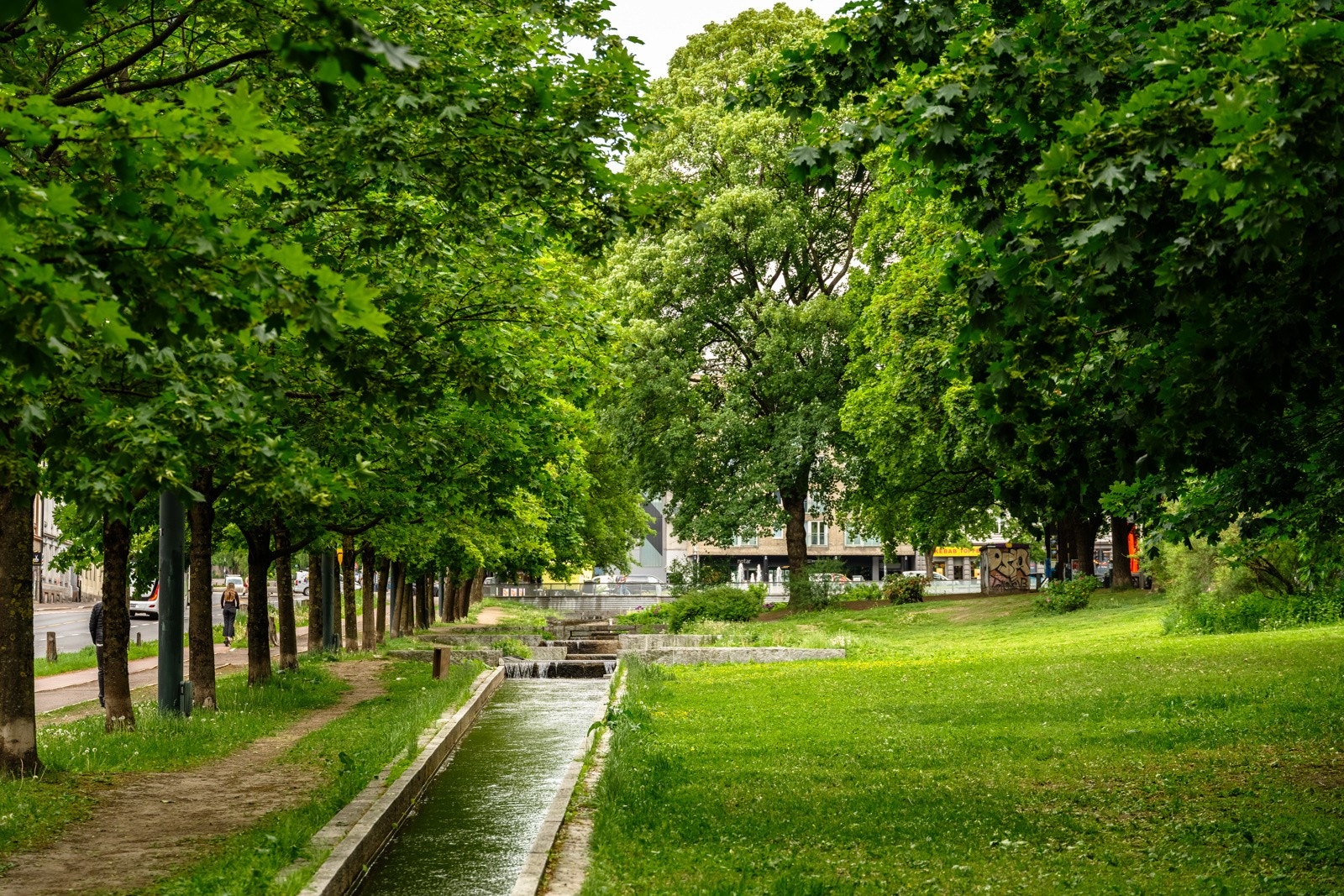 Nærområde. Galleribilde