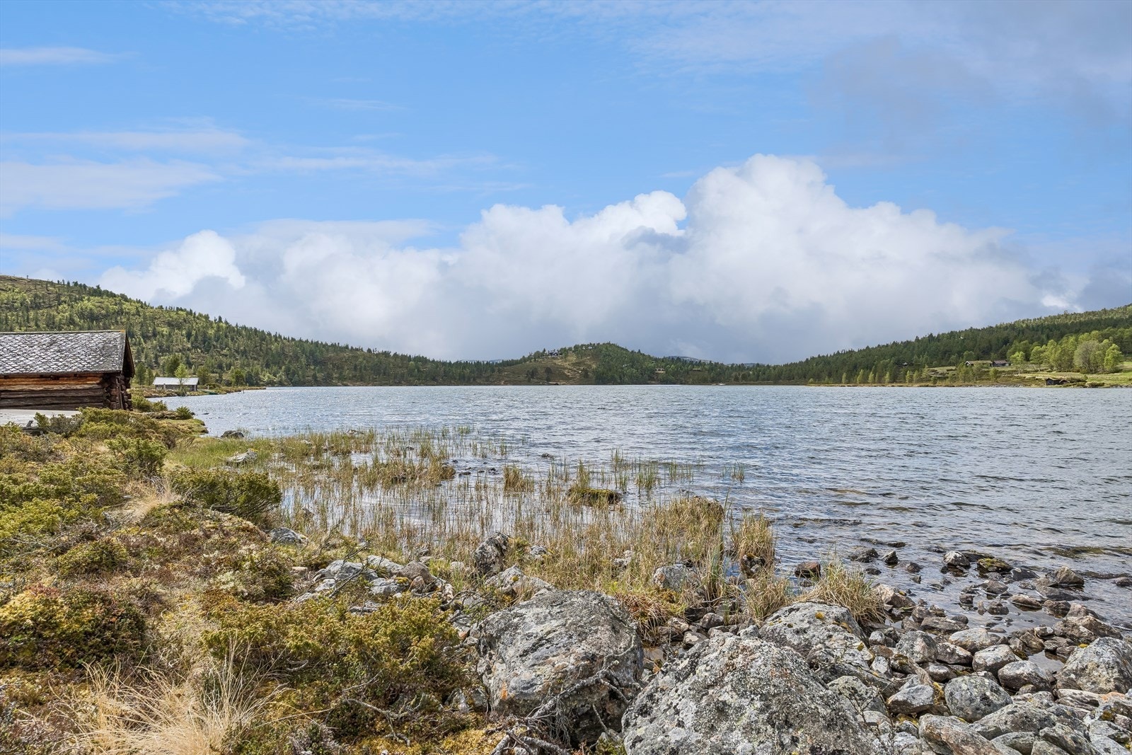 Lomsjøen ligger fint til! Galleribilde