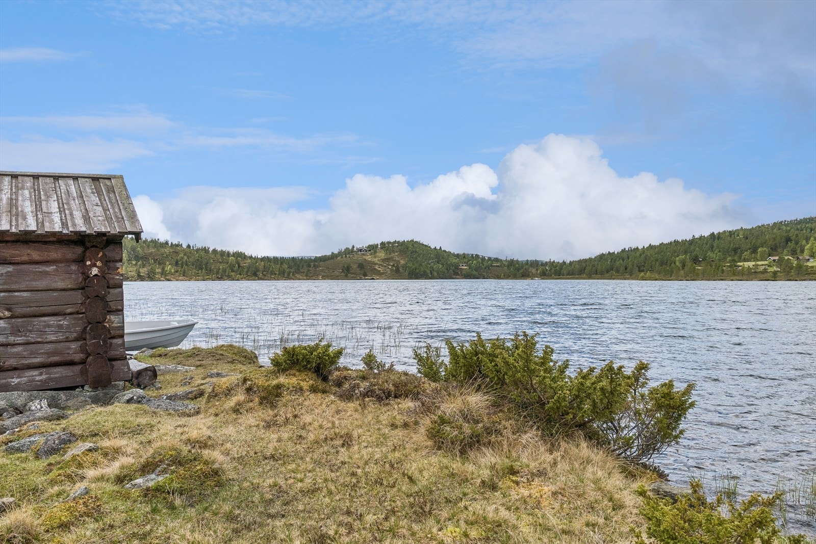 Nærområdet byr på flott natur med fjell og vann. Galleribilde
