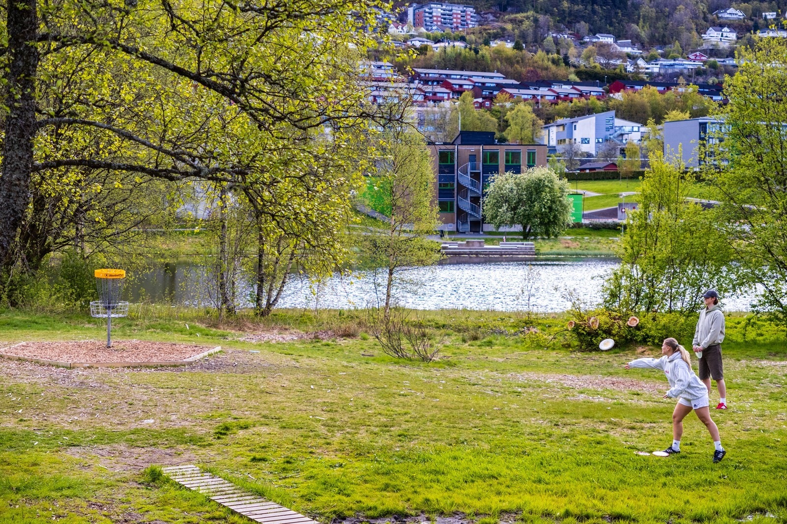 - Frisbeegolfbane rett utenfor døren! - Galleribilde