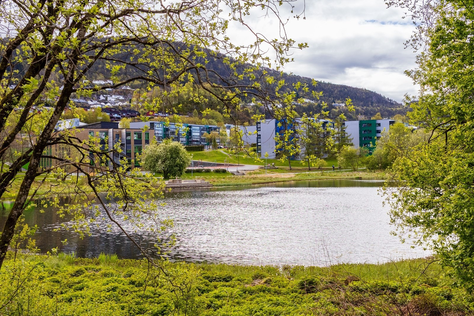 - Muligheter for både lettere turer rundt vannet og mer utfordrende ruter i fjellene omkring - Galleribilde