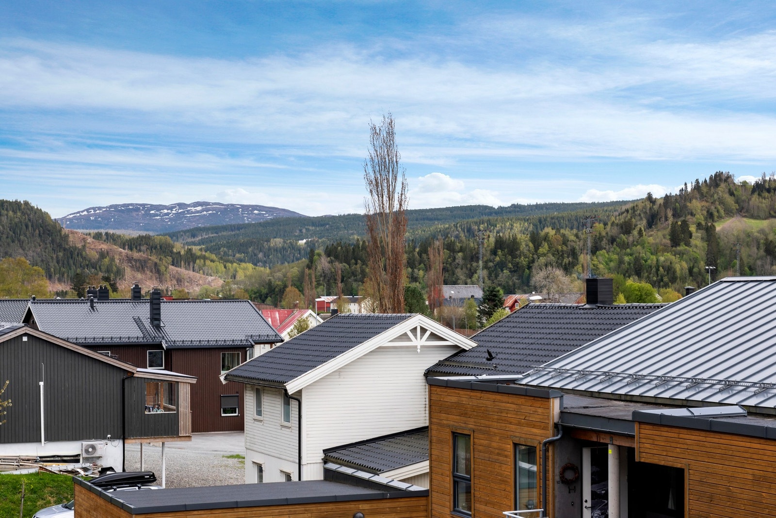 Flott utsikt. Galleribilde