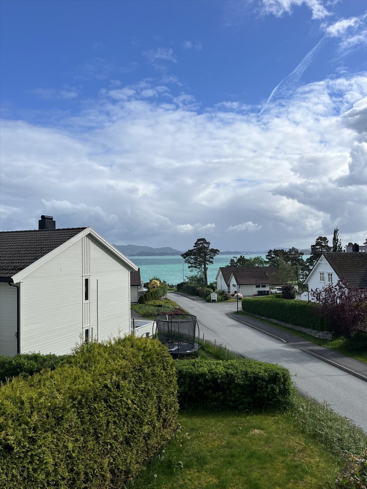 Selgers foto. Galleribilde