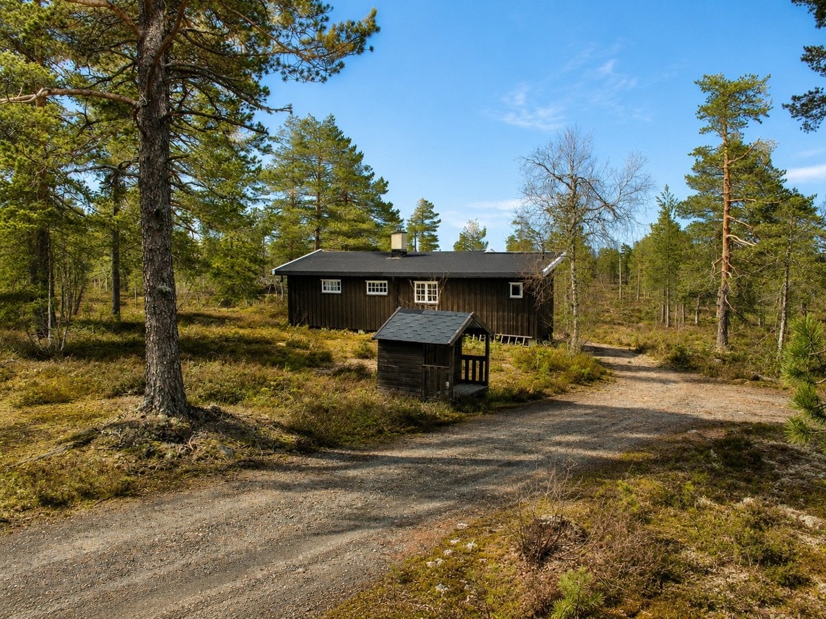 Stor og flat selveid tomt med boltreplass for familie og venner Galleribilde