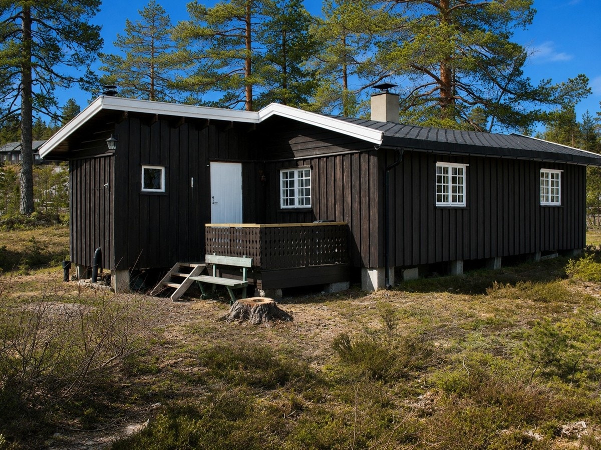 Koselig usjenert terrasse ved inngangspartiet til hovedhytta Galleribilde