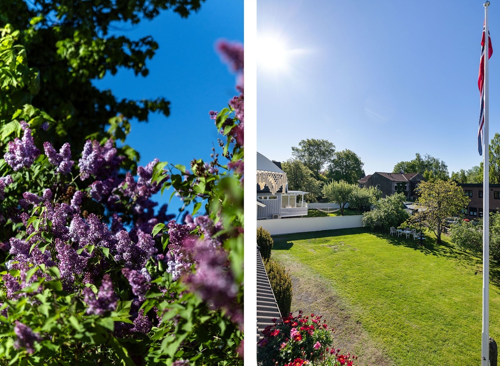 Blomstrende syriner rammer inn eiendommen. Galleribilde