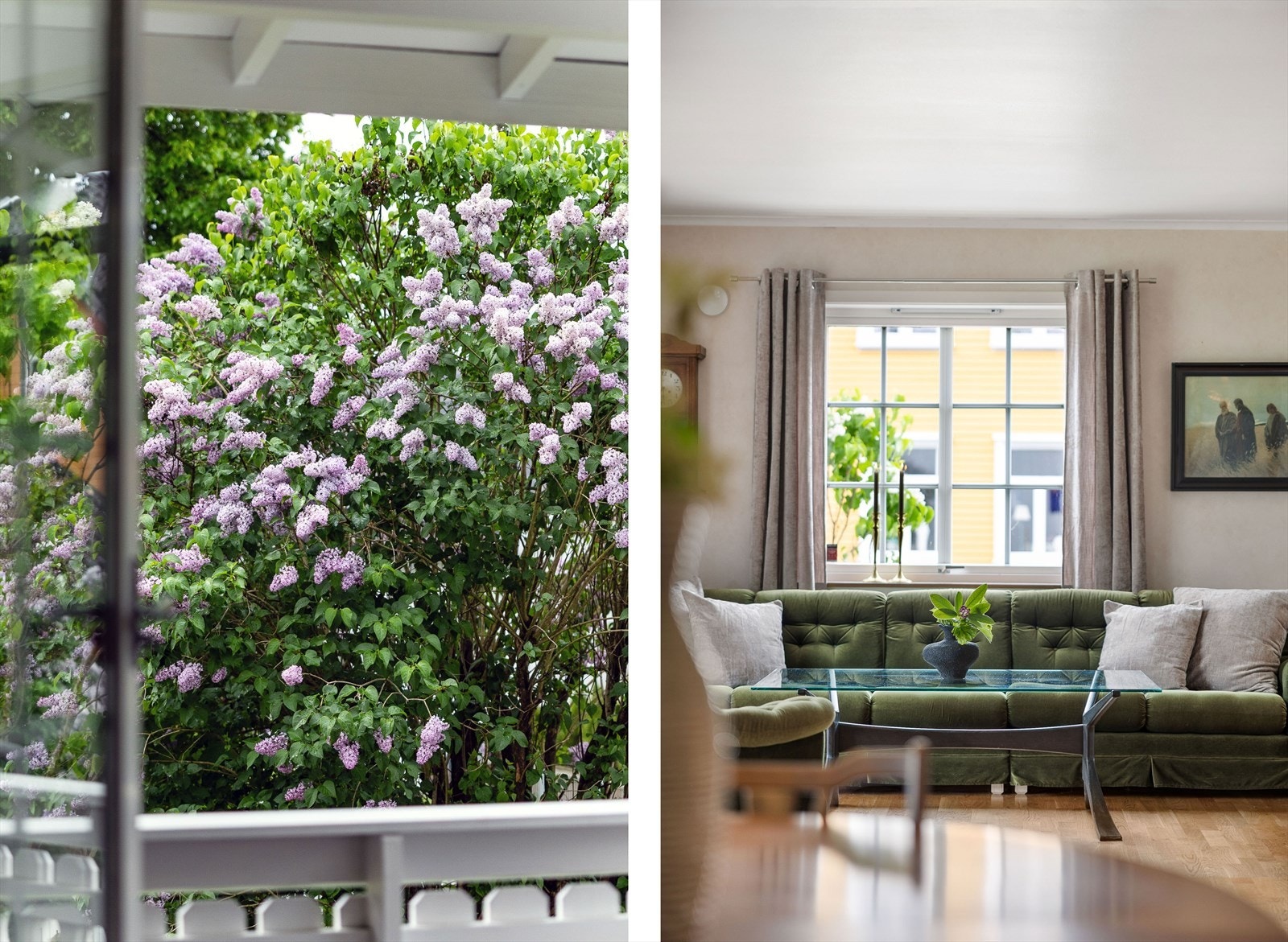 Utsikt til den grønne hagen fra stuevinduet. Syrin i full blomst. Galleribilde