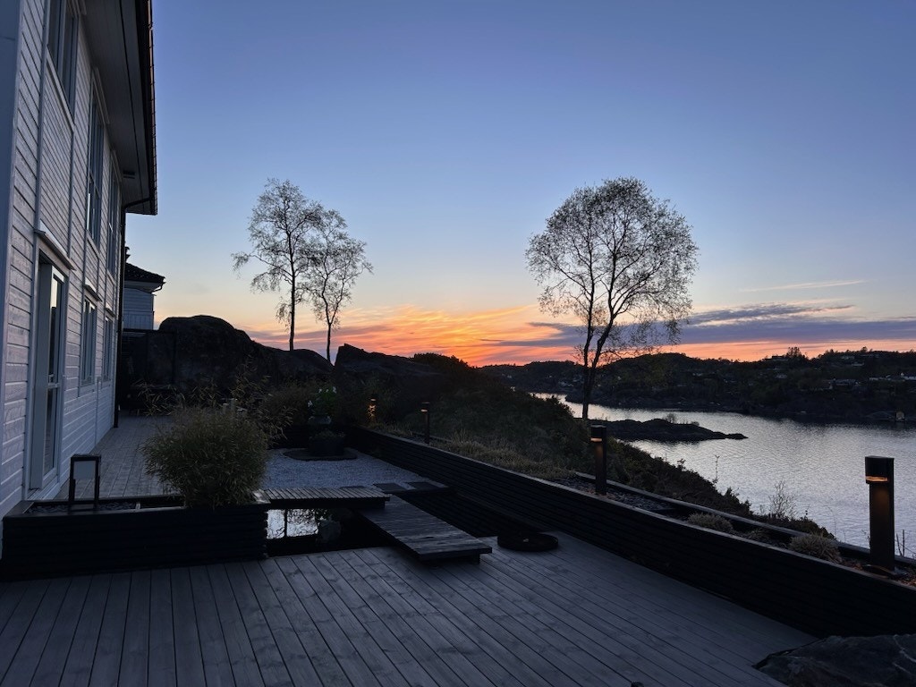 Kveldsstemning. Galleribilde