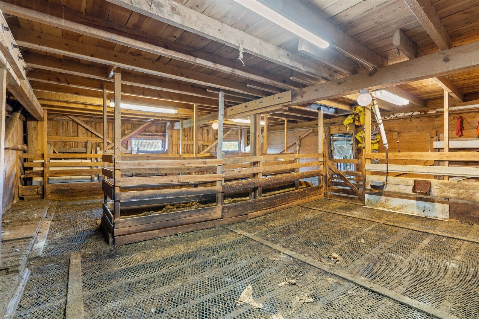 Innvendig i løen er det tidligere fjøs og sauehus Galleribilde