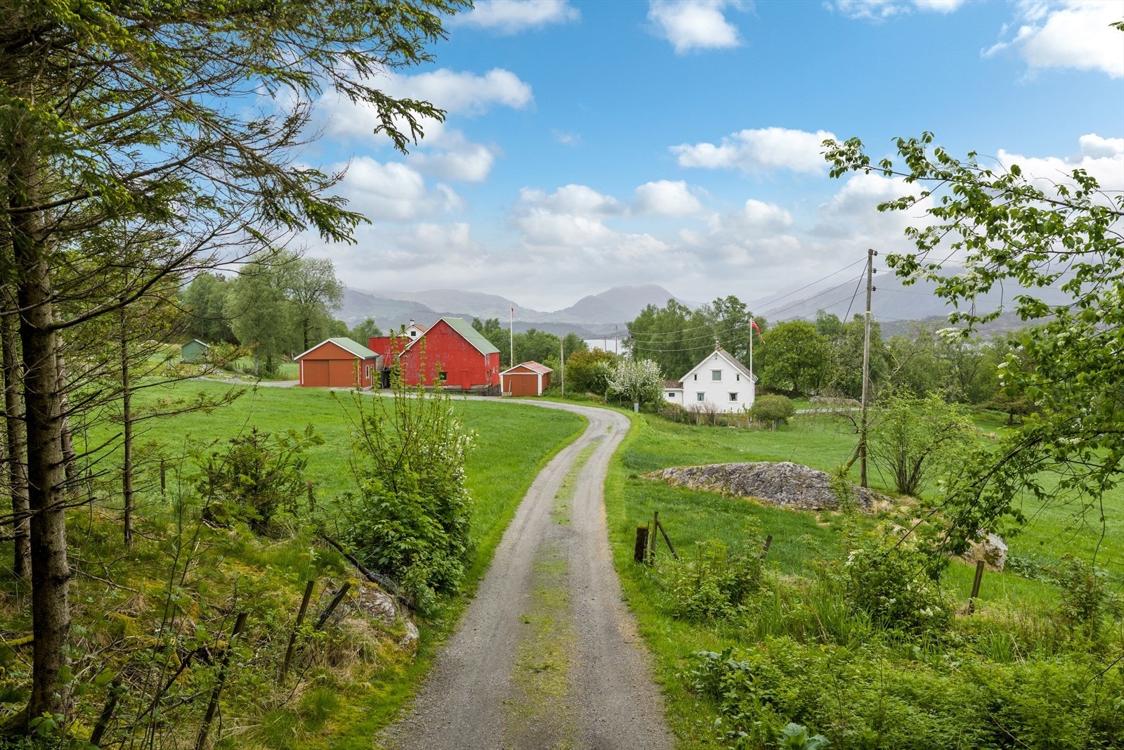 Innkjøringen til småbruket. Galleribilde