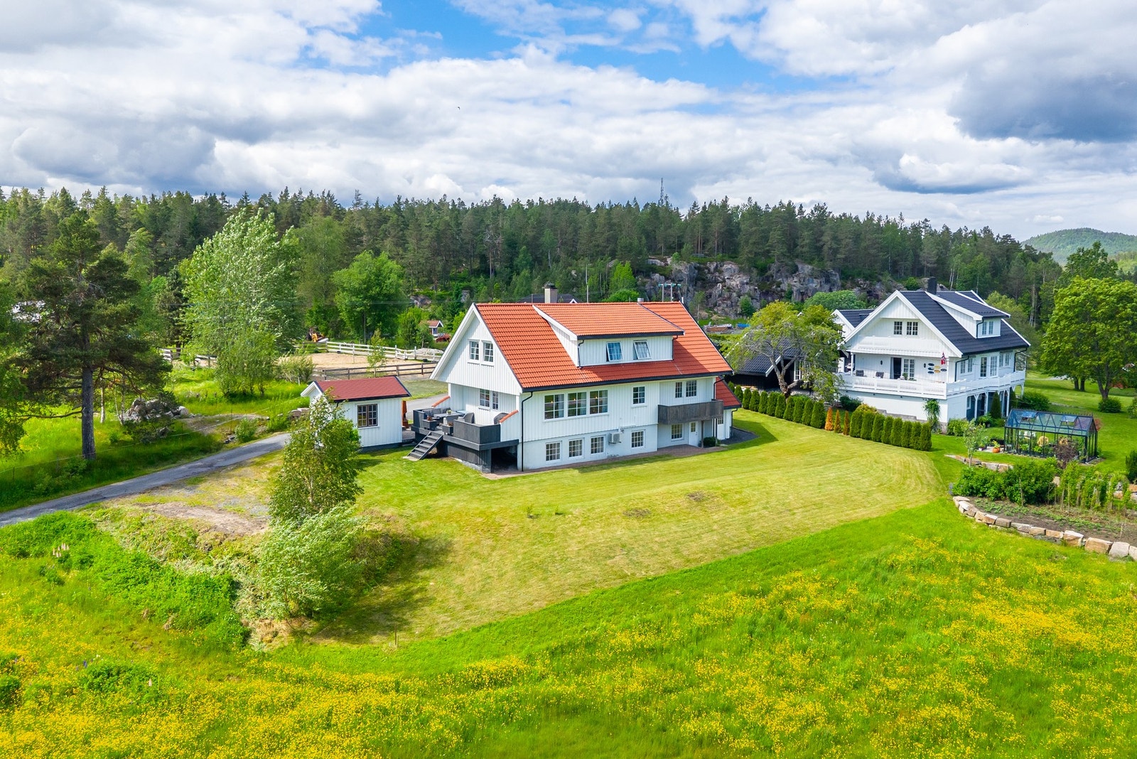 Velkommen til Kjempekjenn i Froland Kommune. Galleribilde