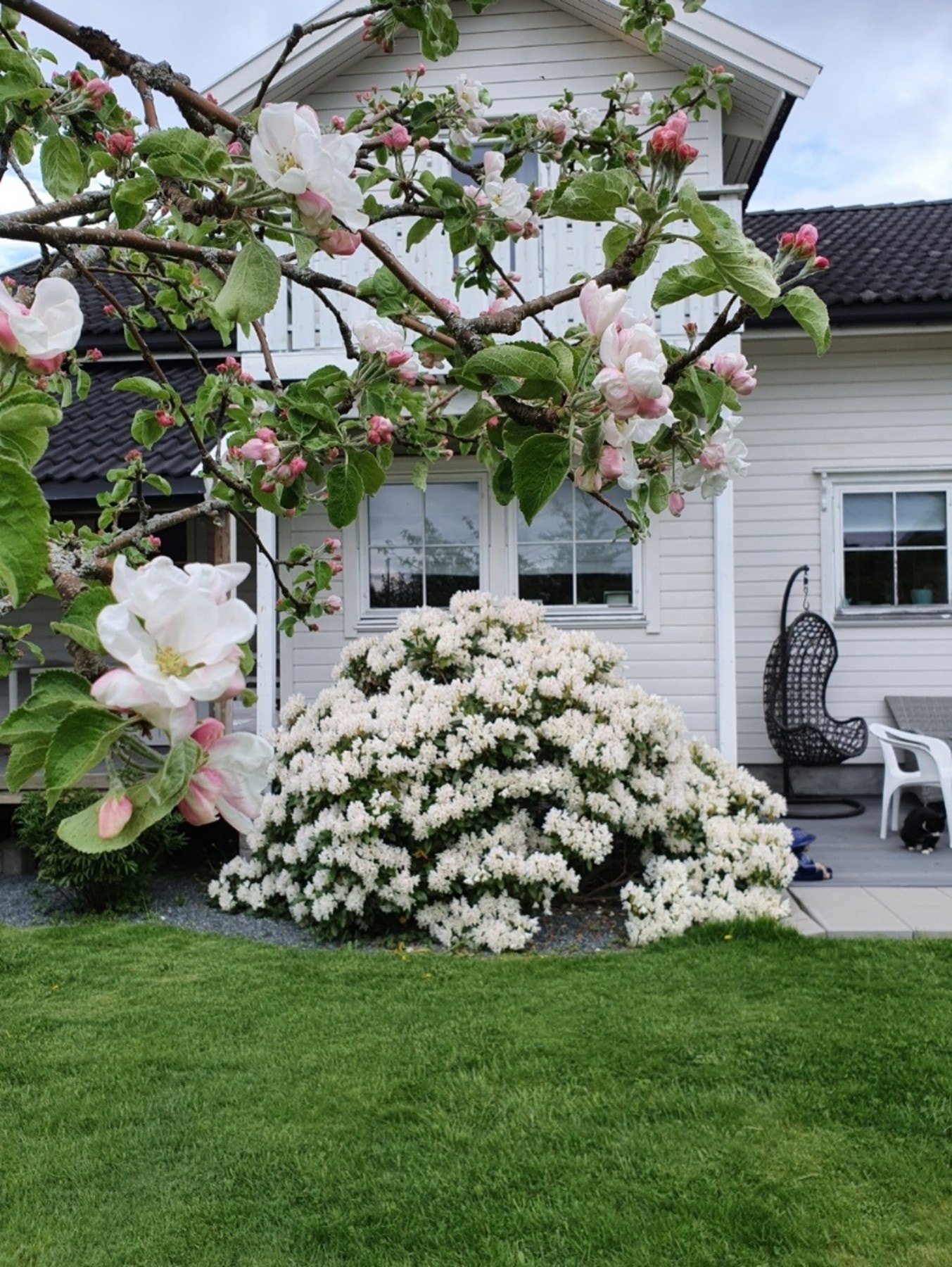 Sommerbilde tatt av selger. Galleribilde
