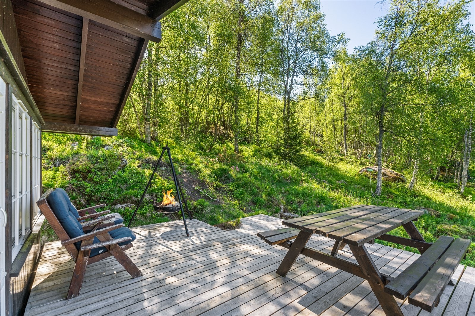 Flott natur rett rundt Galleribilde