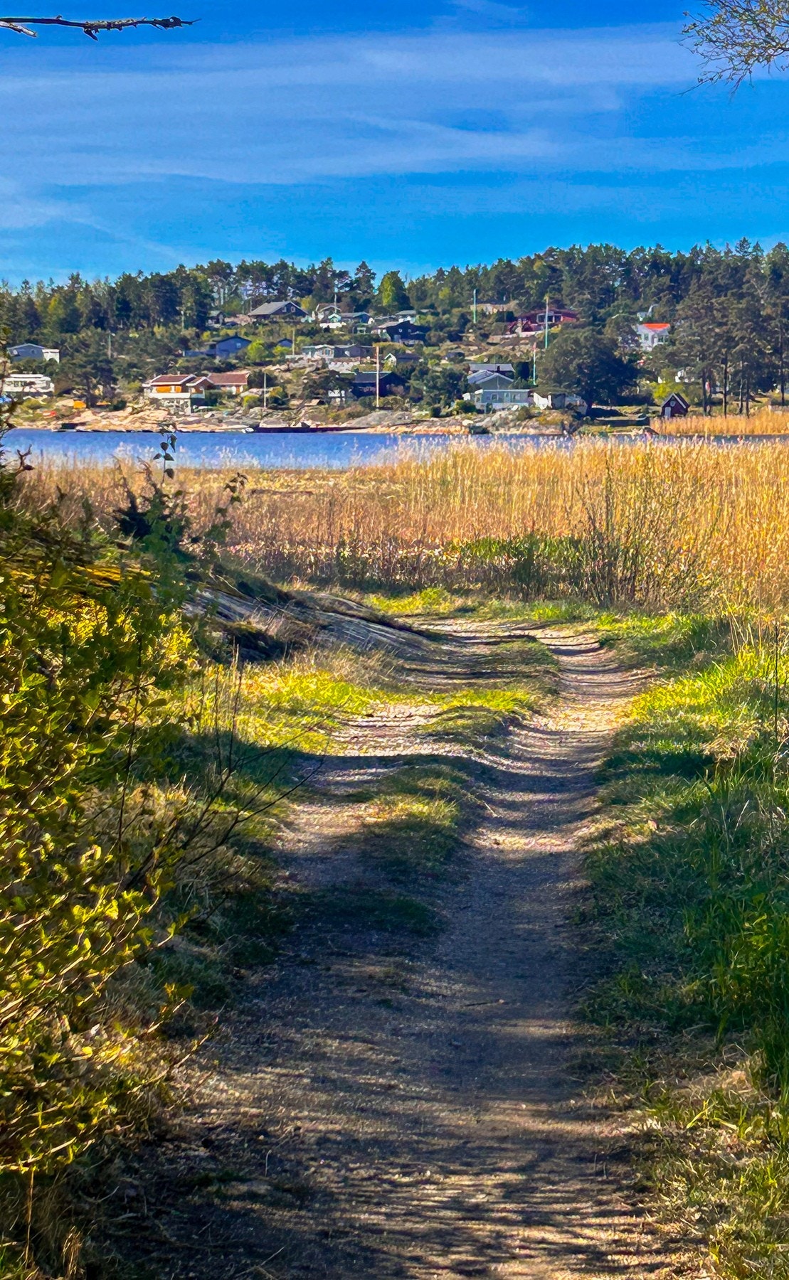 Nærområde - turstier Galleribilde