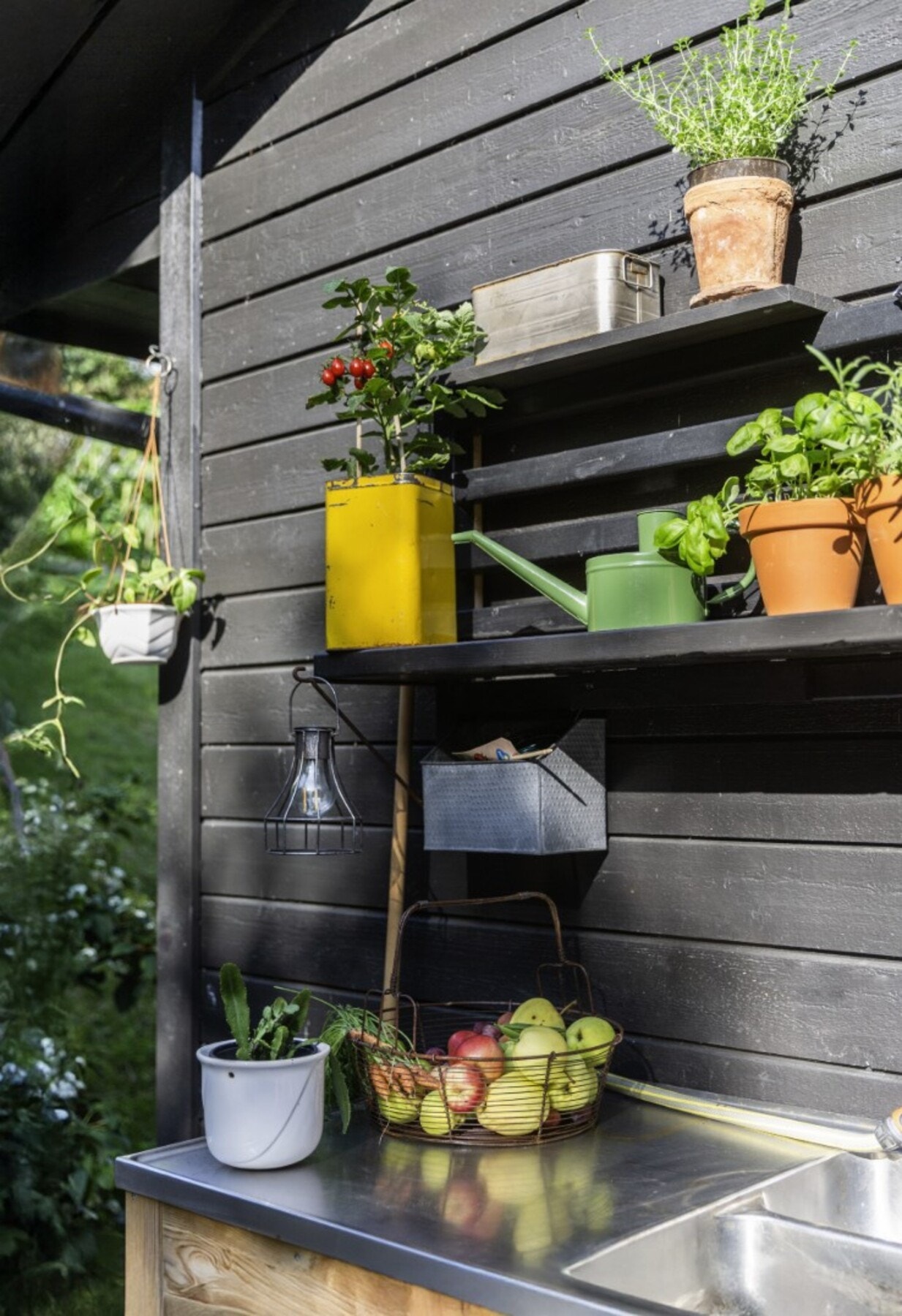 Detaljbilde fra uteplass på baksiden. Galleribilde