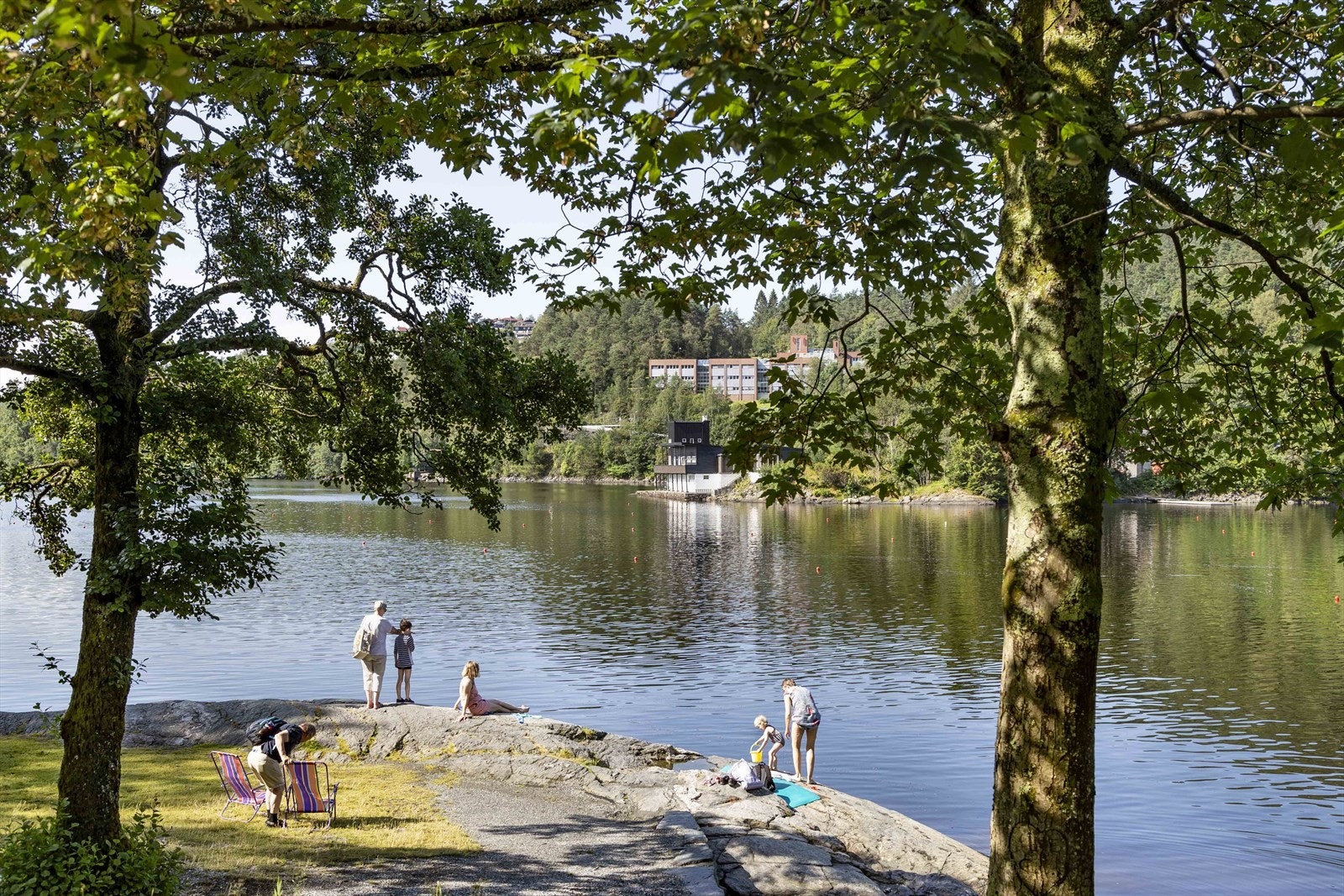 Blir det sol kan du bade på "Kongen" Galleribilde