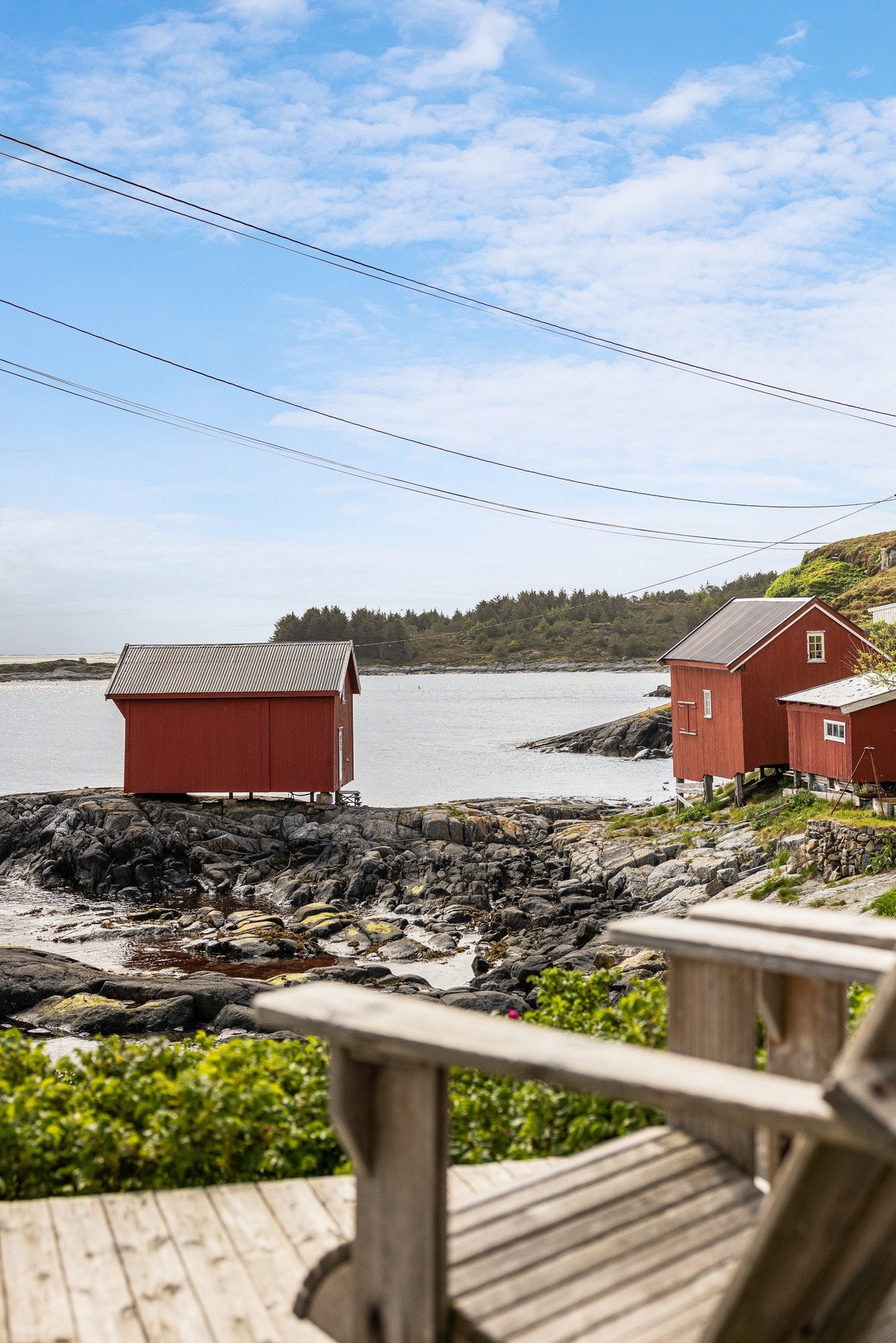 Med utsikt over havet Galleribilde