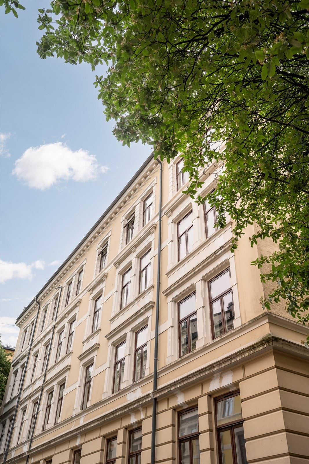 Ditt nye hjem? Galleribilde