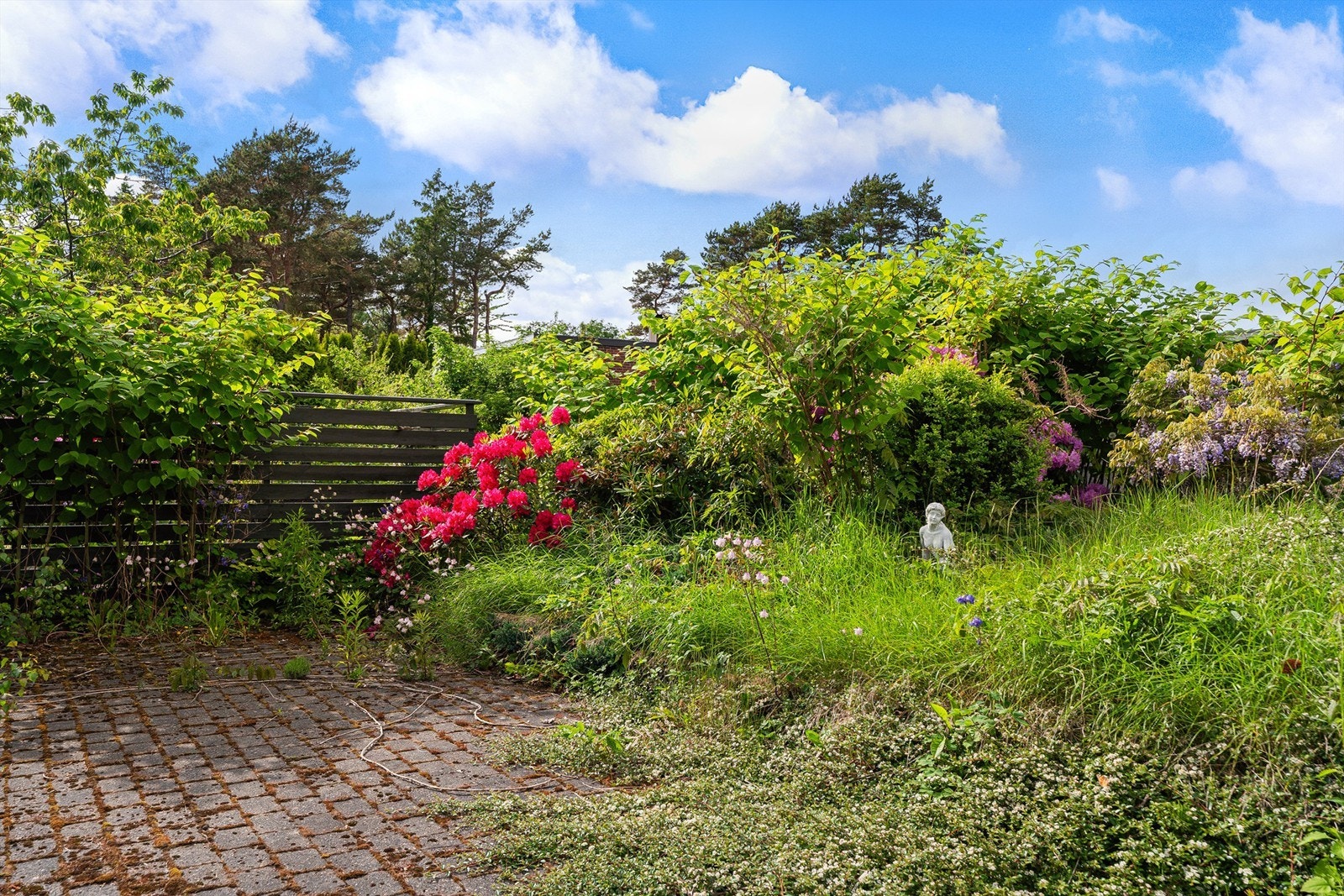 Detaljbilde med beplanting Galleribilde