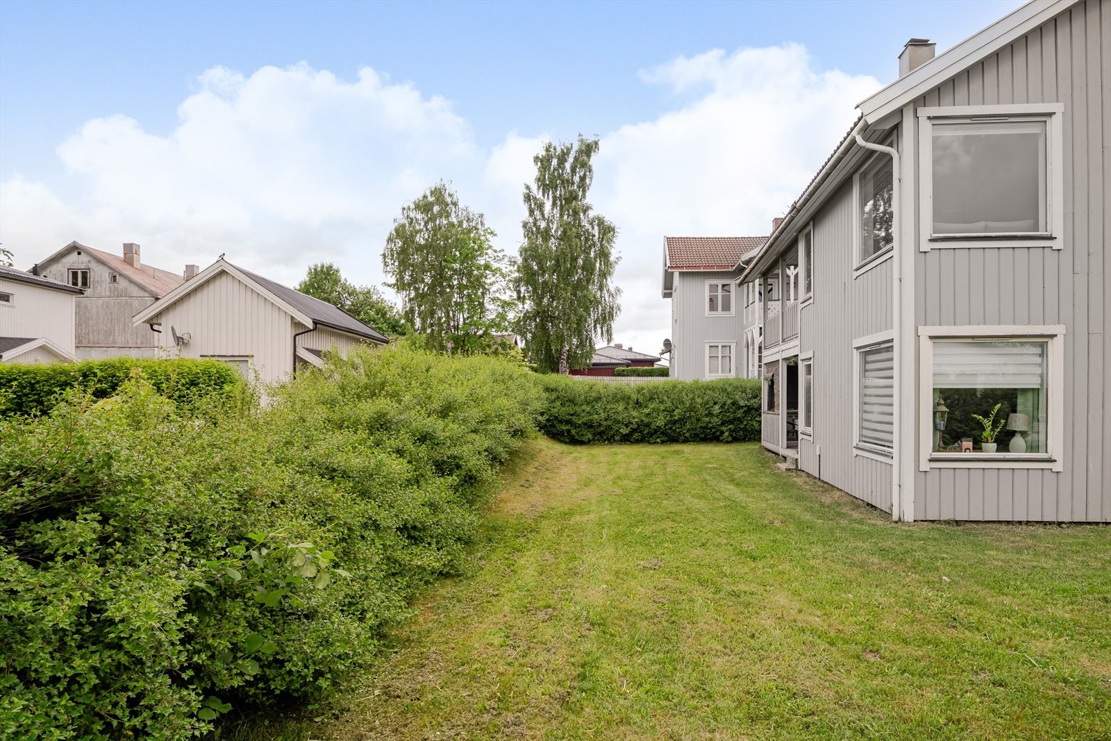 Felles hage med plen og hekk. Galleribilde