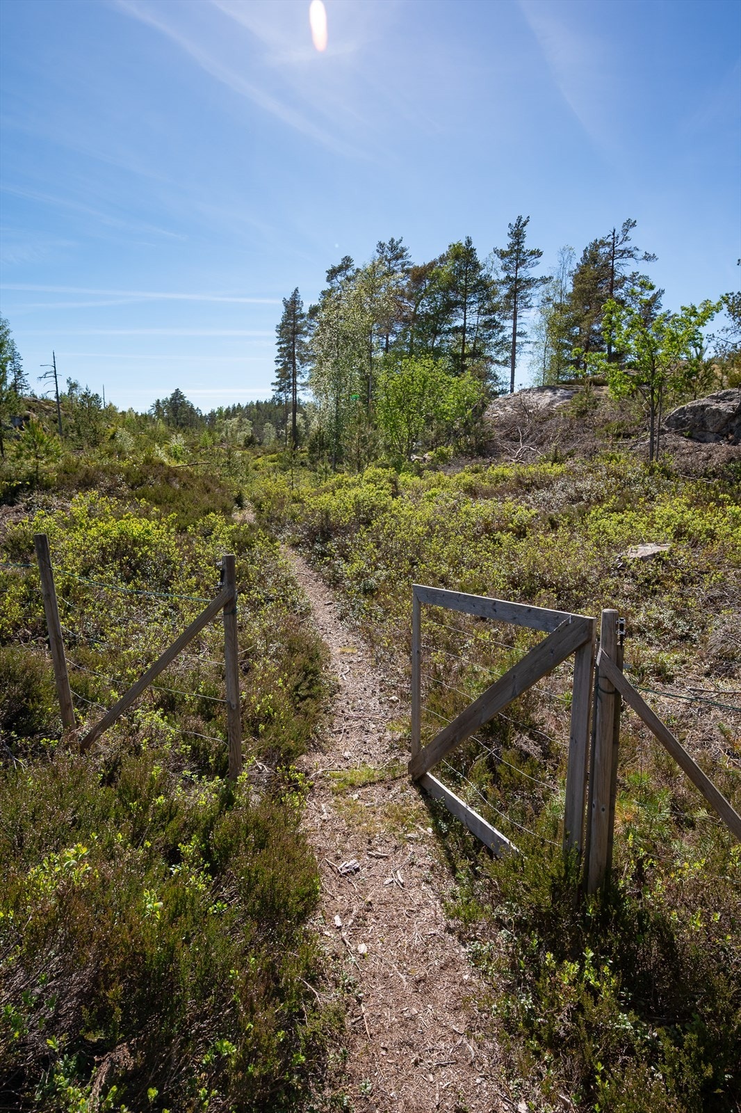 Eiendommen har også gangrett over nabotomter Galleribilde